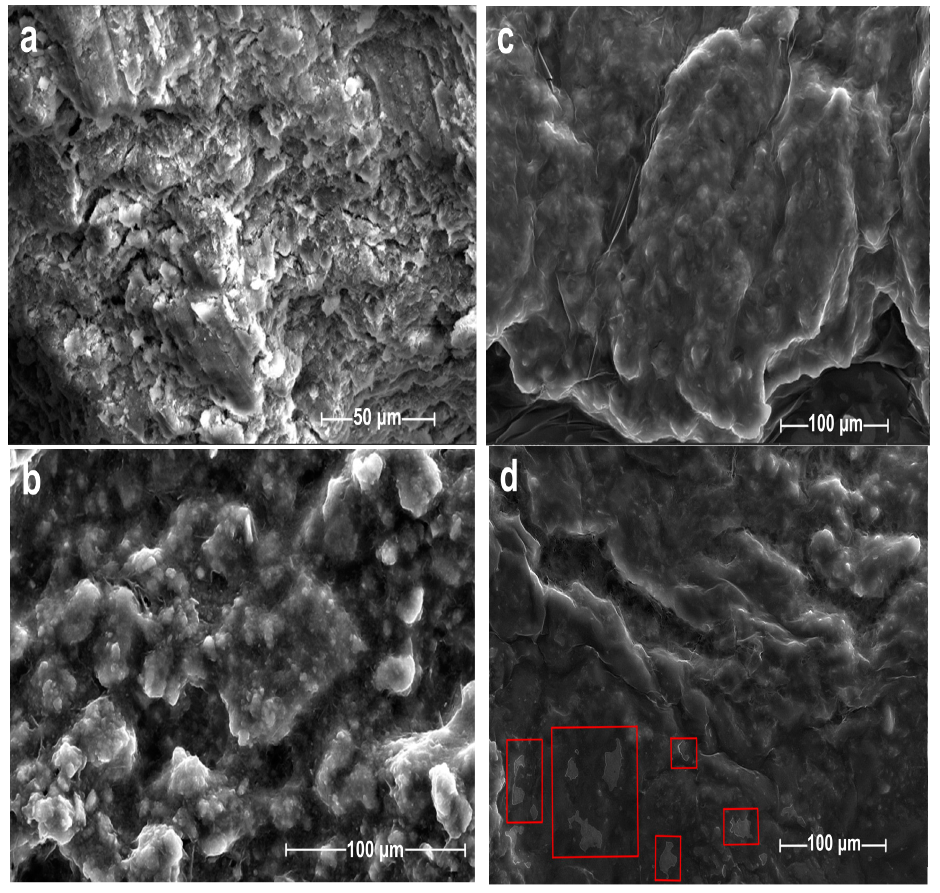 Coatings 13 01475 g002