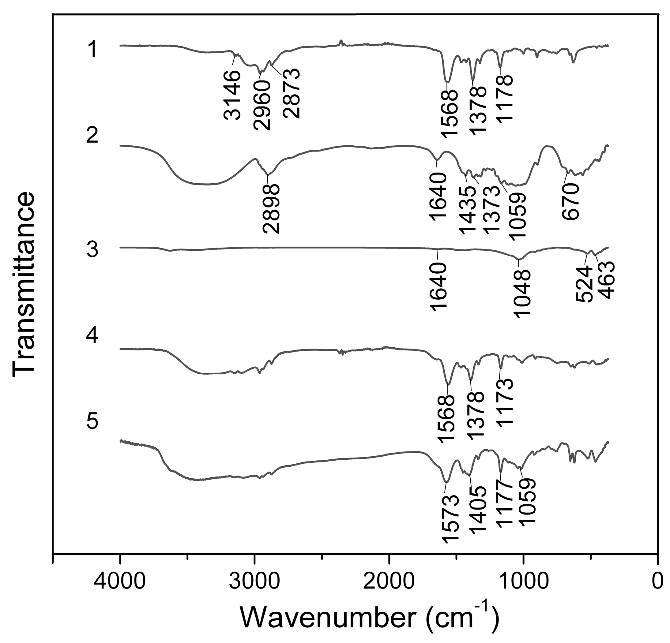 Coatings 13 01475 g005