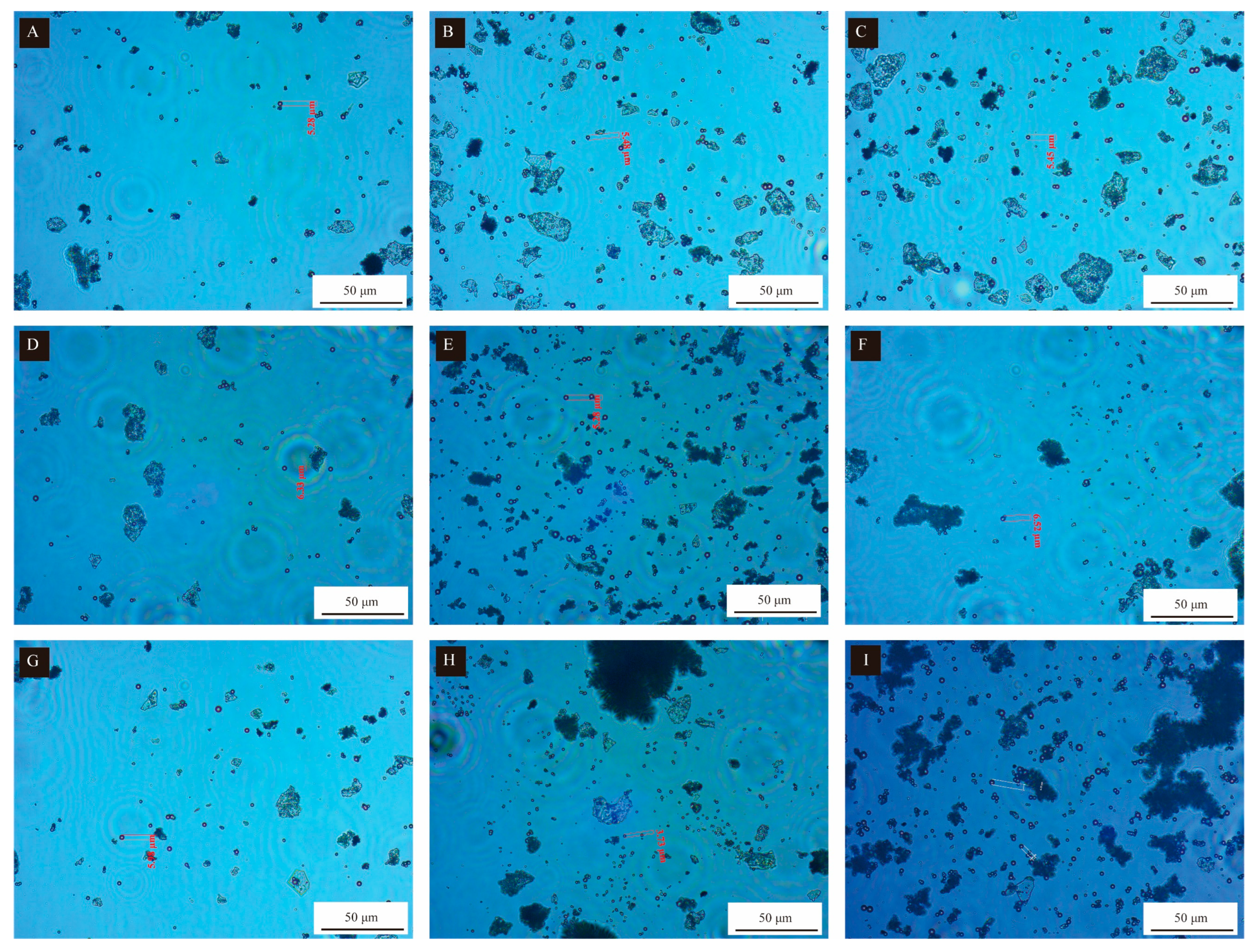 Coatings 13 01478 g002
