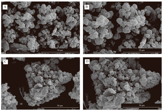 flower Morphological matching and nectar dynamics as determinants