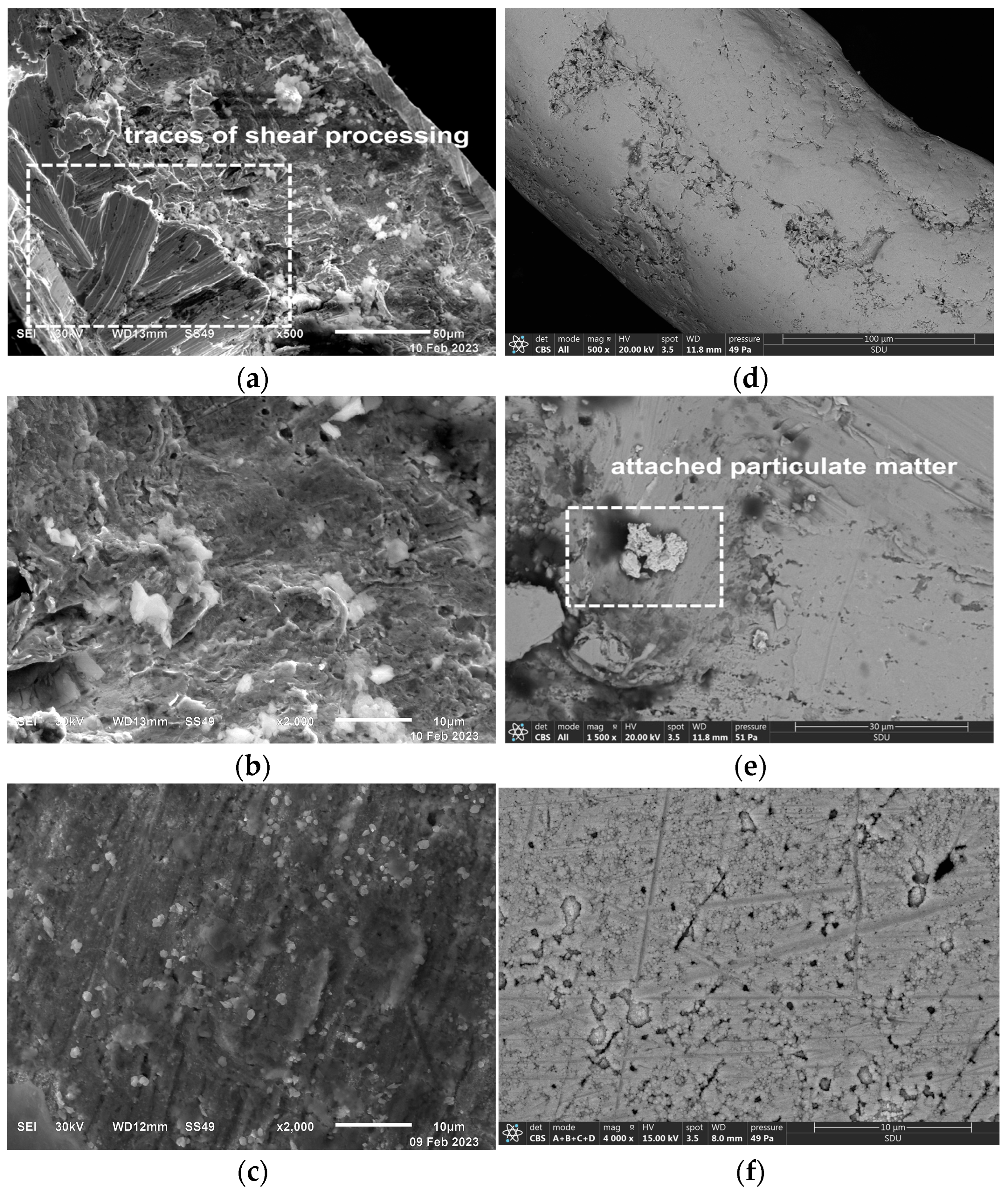 Coatings 13 01480 g004