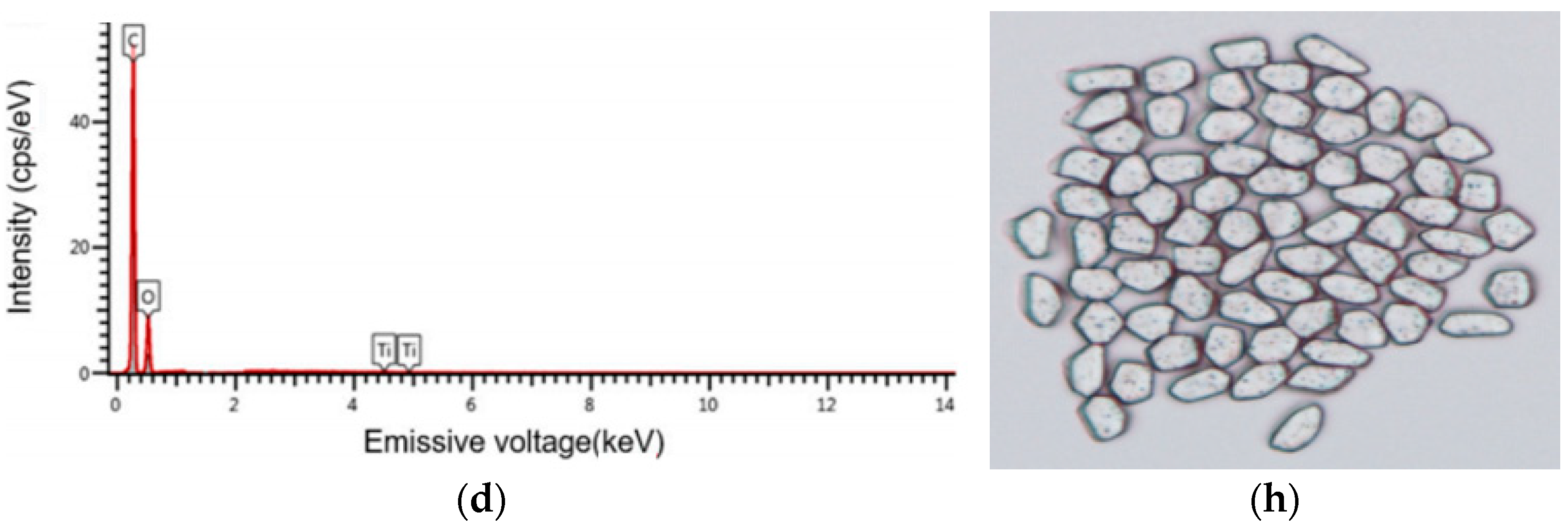 Coatings 13 01481 g003b