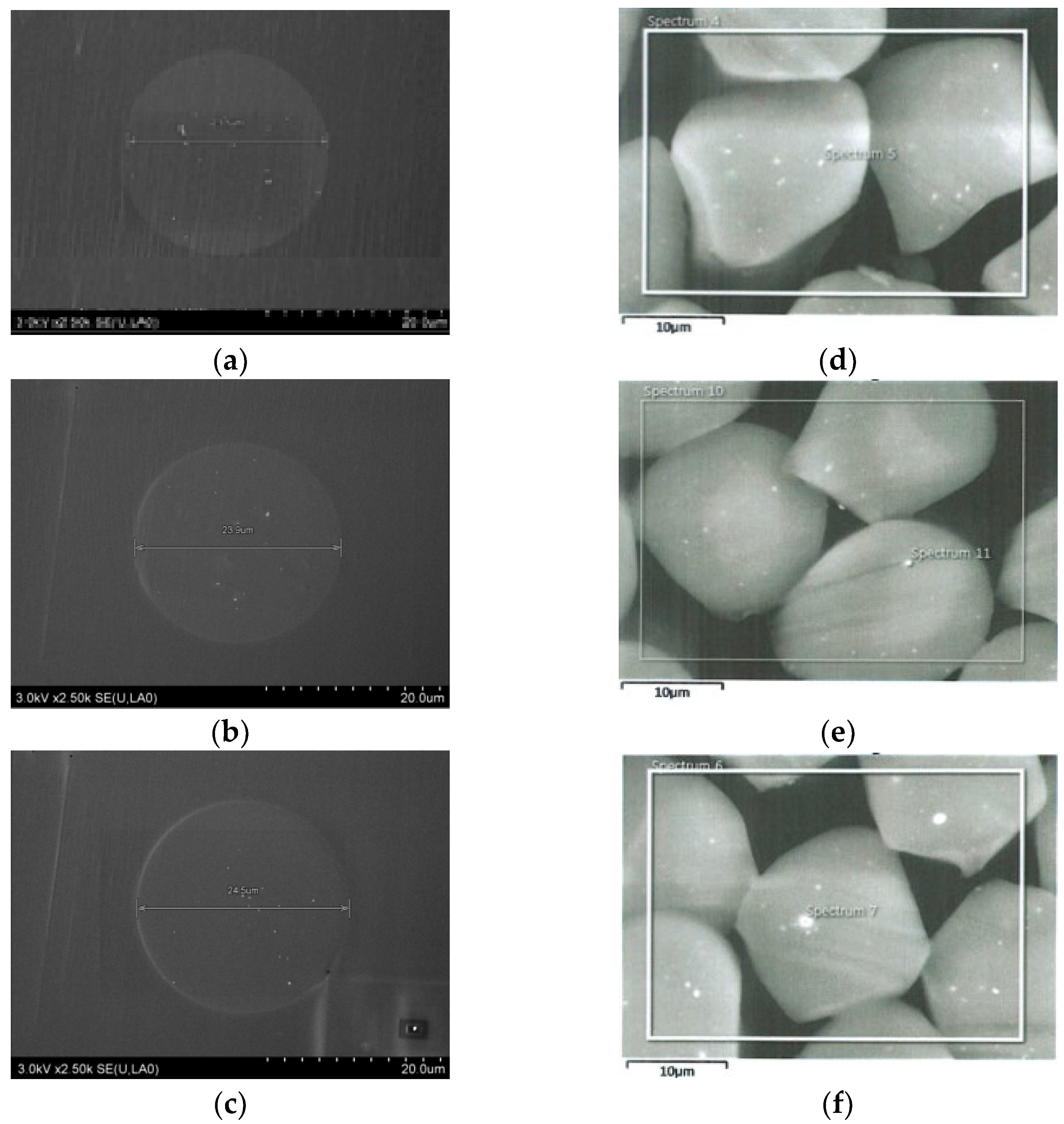 Coatings 13 01481 g004