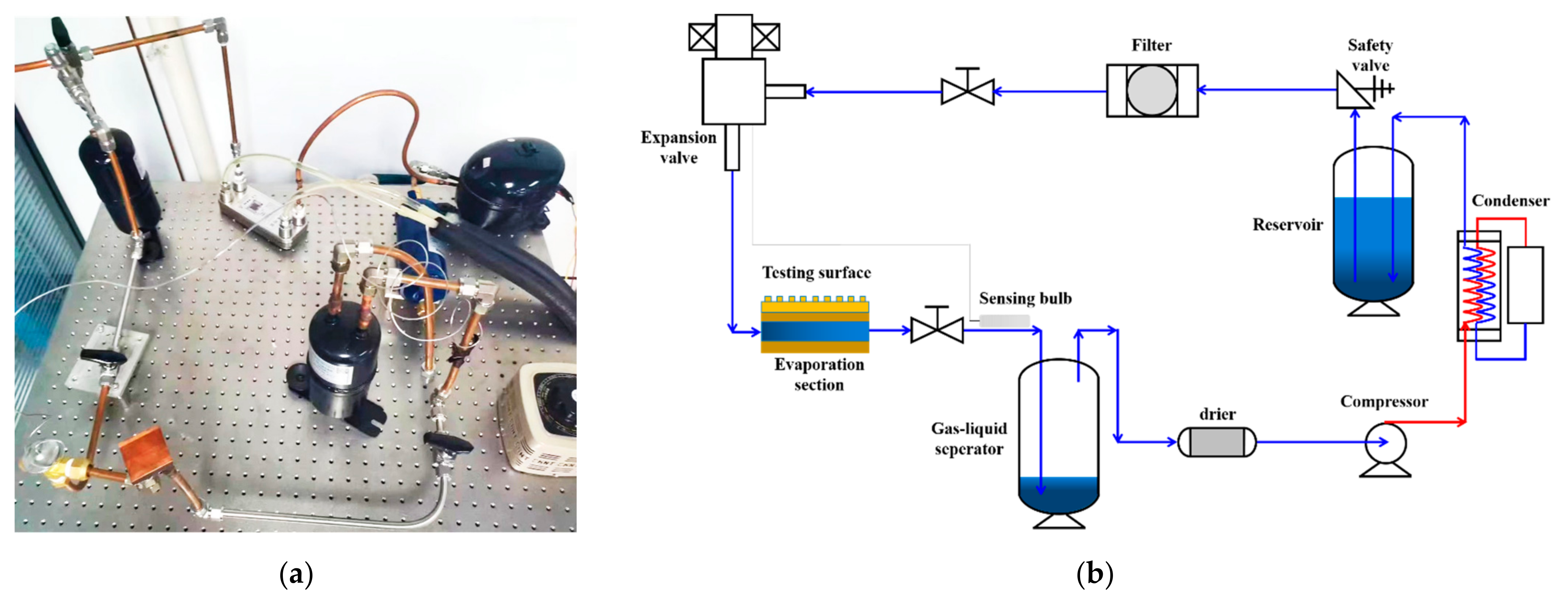 Coatings 13 01485 g001