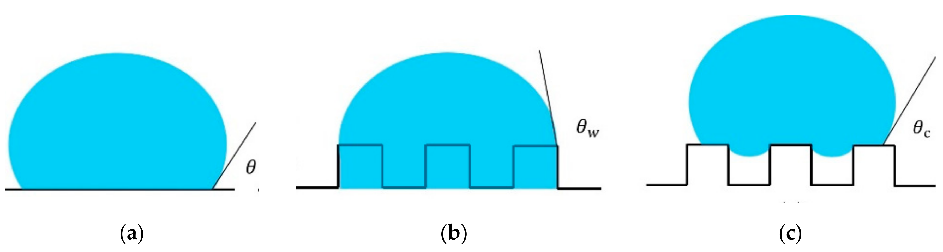 Coatings 13 01485 g005