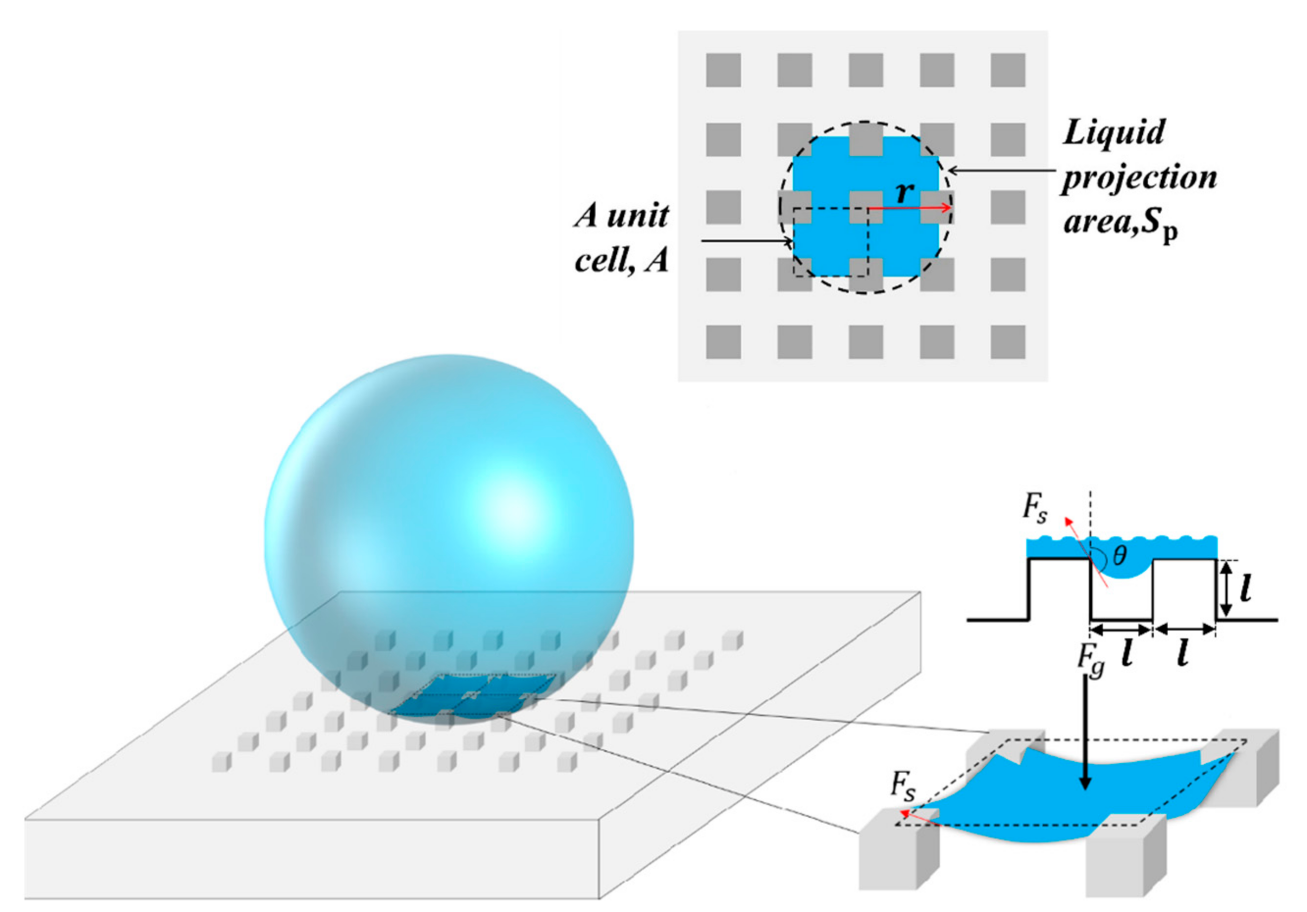 Coatings 13 01485 g007