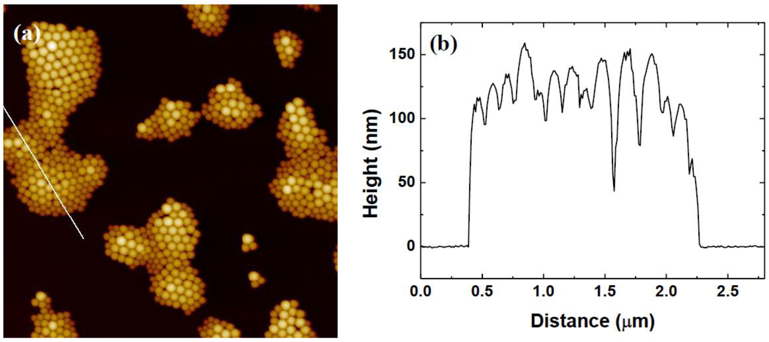 Coatings 13 01488 g001 Coatings 13 01488 g001
