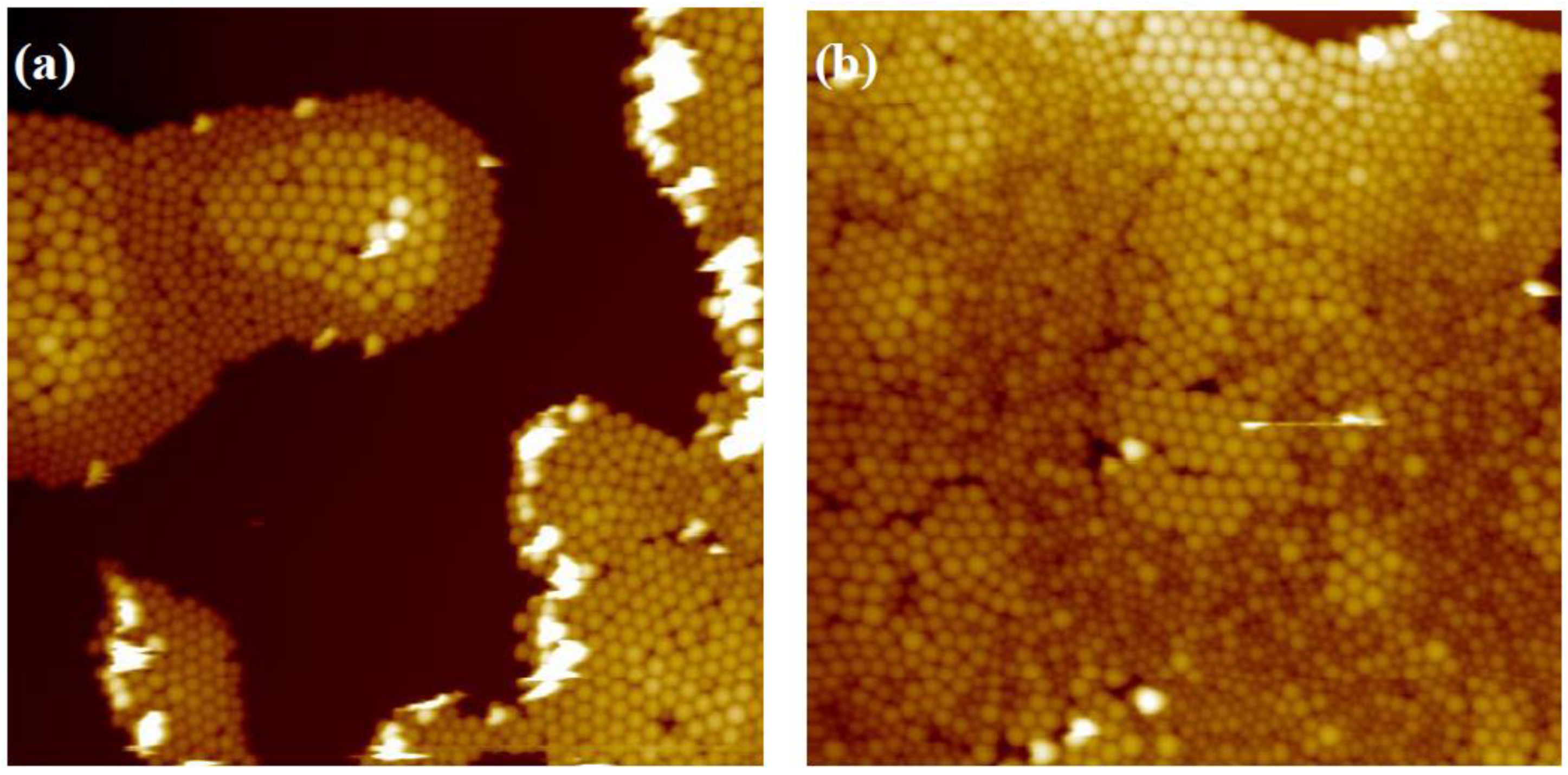 Coatings 13 01488 g003 Coatings 13 01488 g003