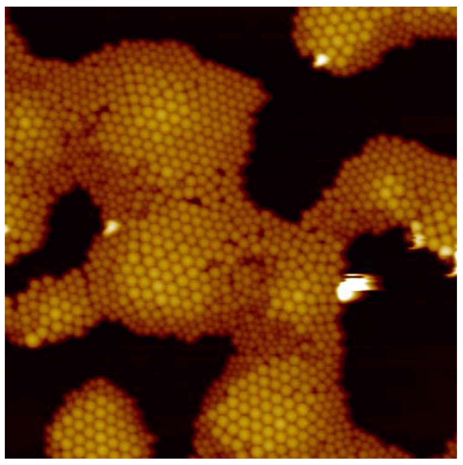 Coatings 13 01488 g004 Coatings 13 01488 g004