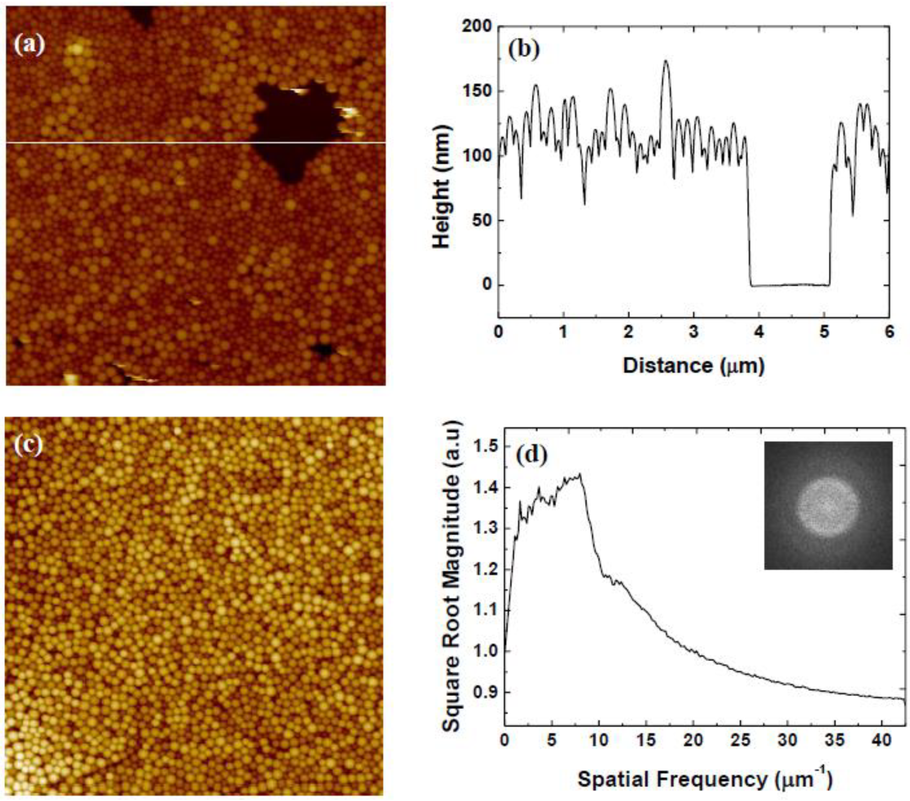 Coatings 13 01488 g005 Coatings 13 01488 g005