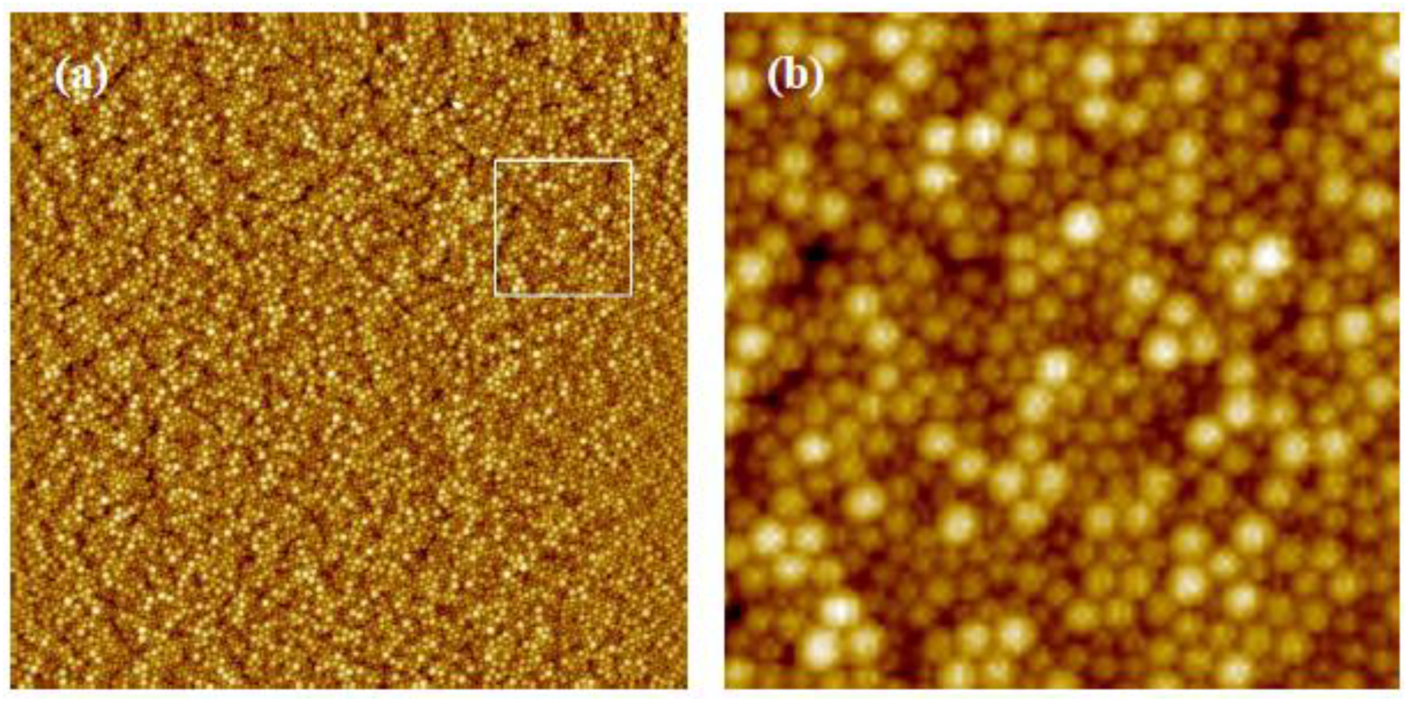 Coatings 13 01488 g013 Coatings 13 01488 g013
