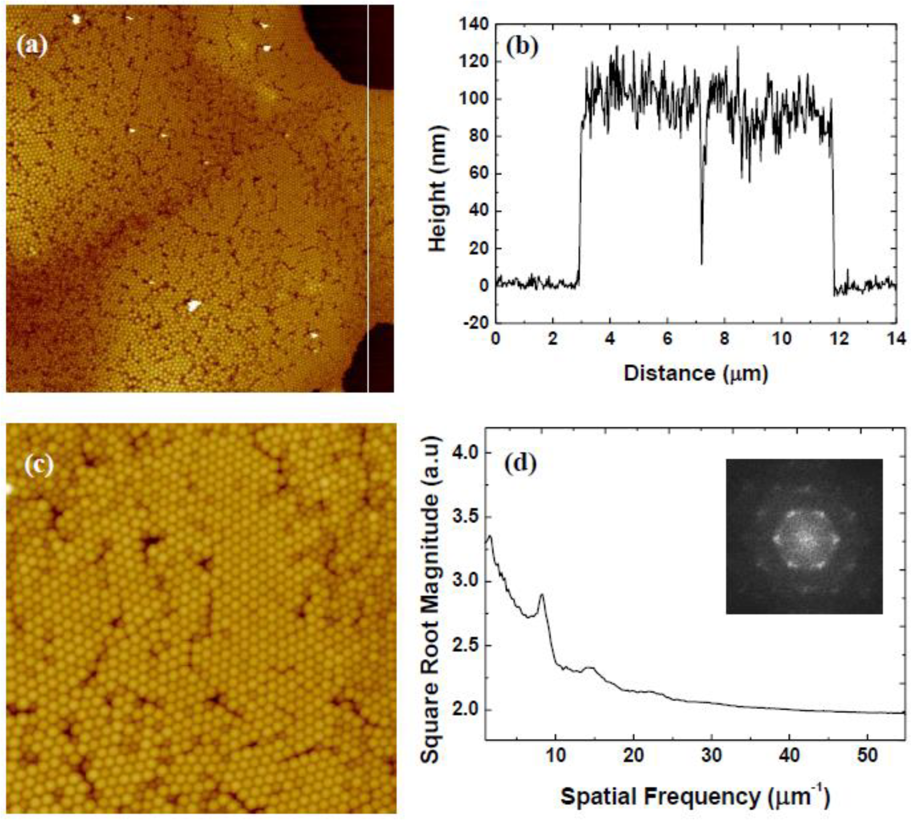 Coatings 13 01488 g014 Coatings 13 01488 g014