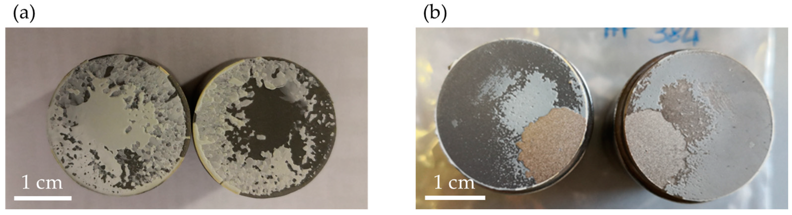 Coatings 13 01490 g012 Coatings 13 01490 g012