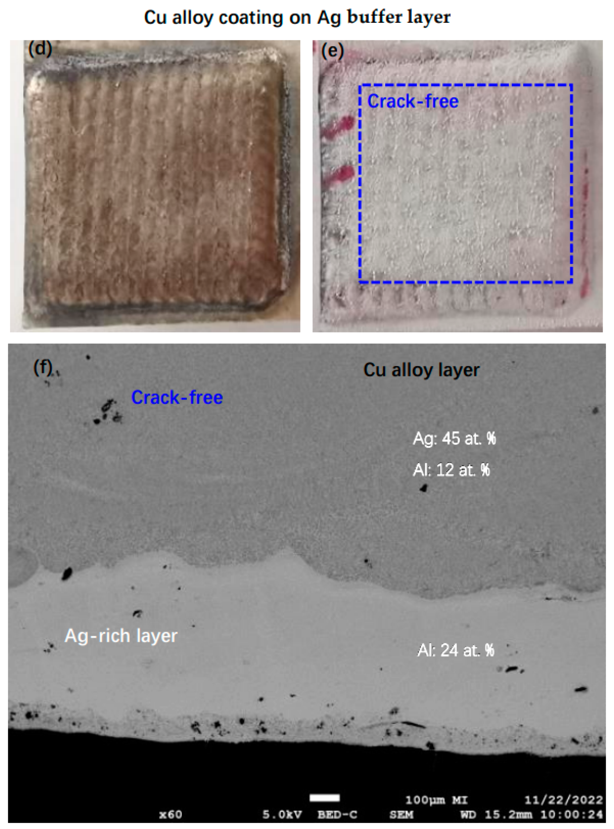 Coatings 13 01491 g001b