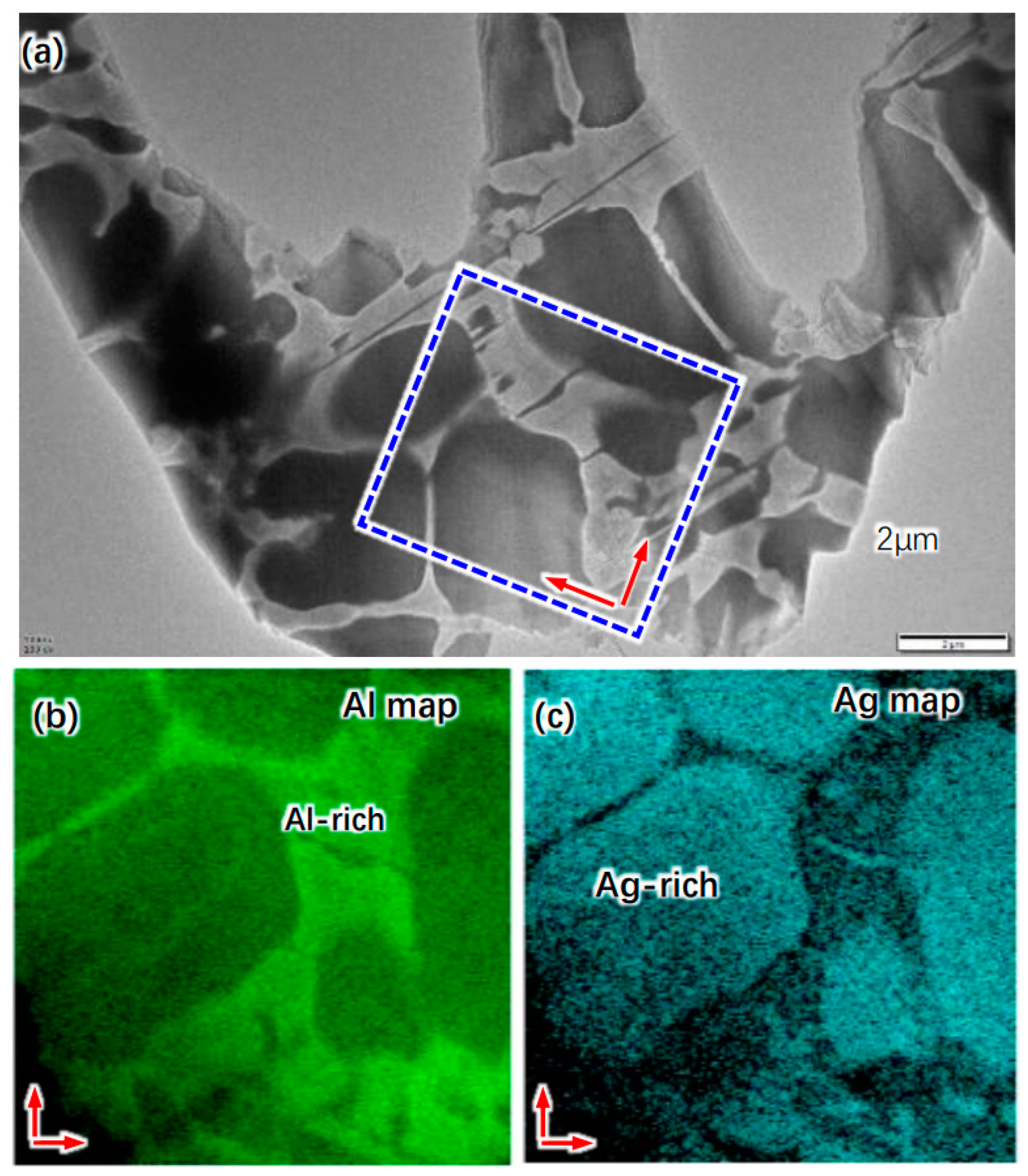 Coatings 13 01491 g002a