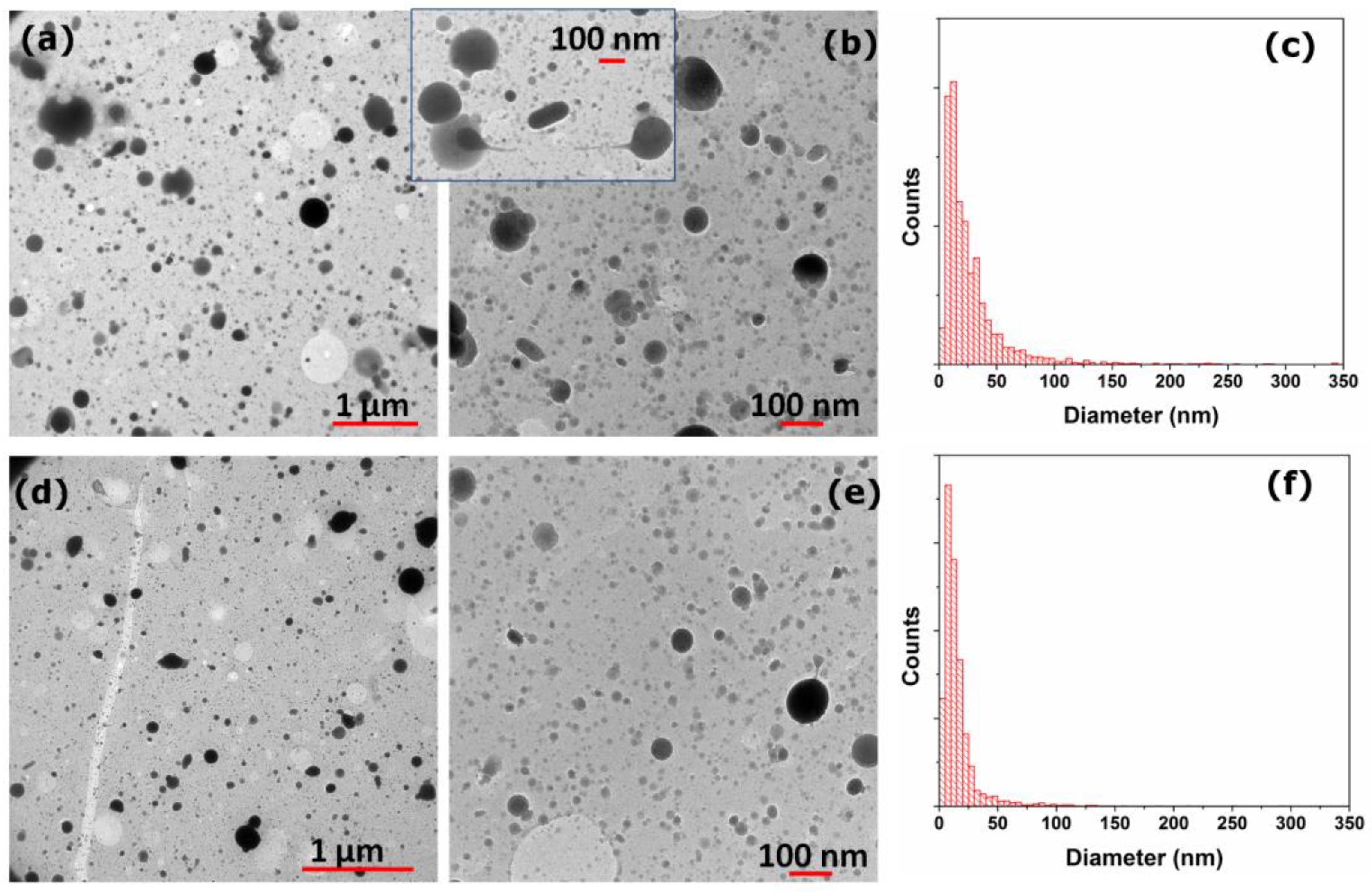 Coatings 13 01496 g001