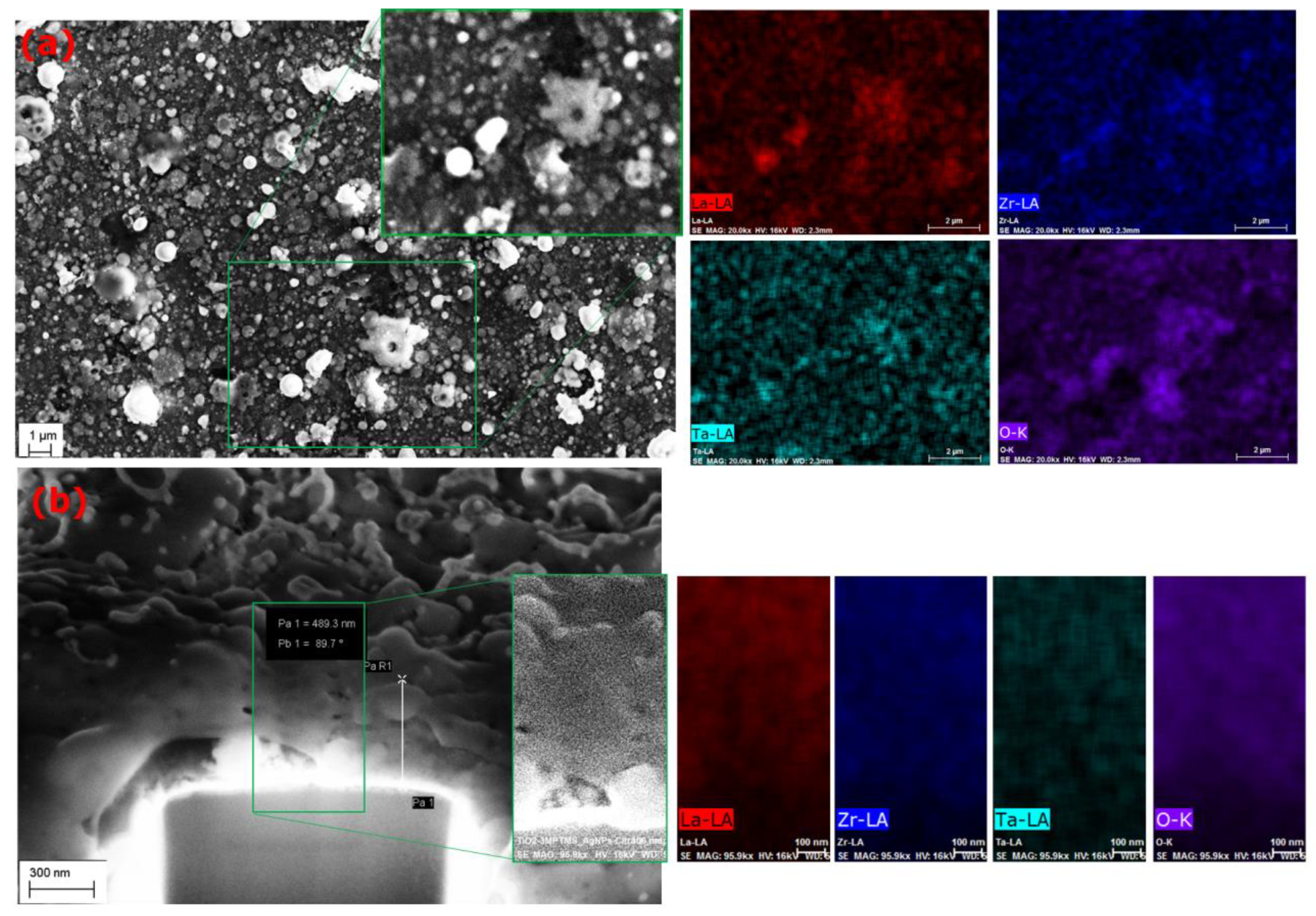 Coatings 13 01496 g006