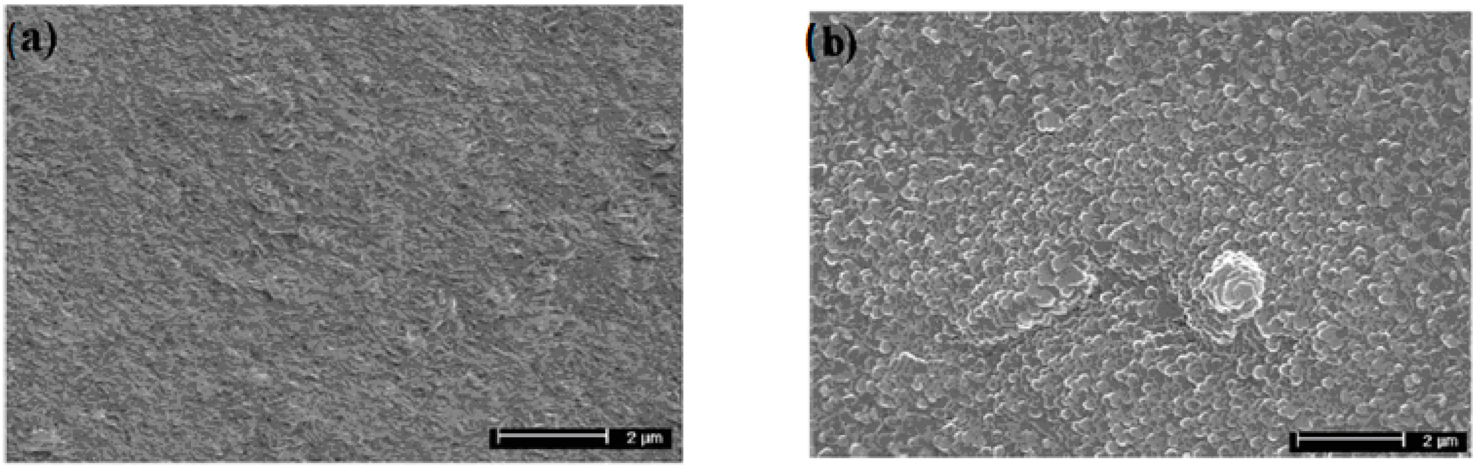Coatings 13 01500 g025