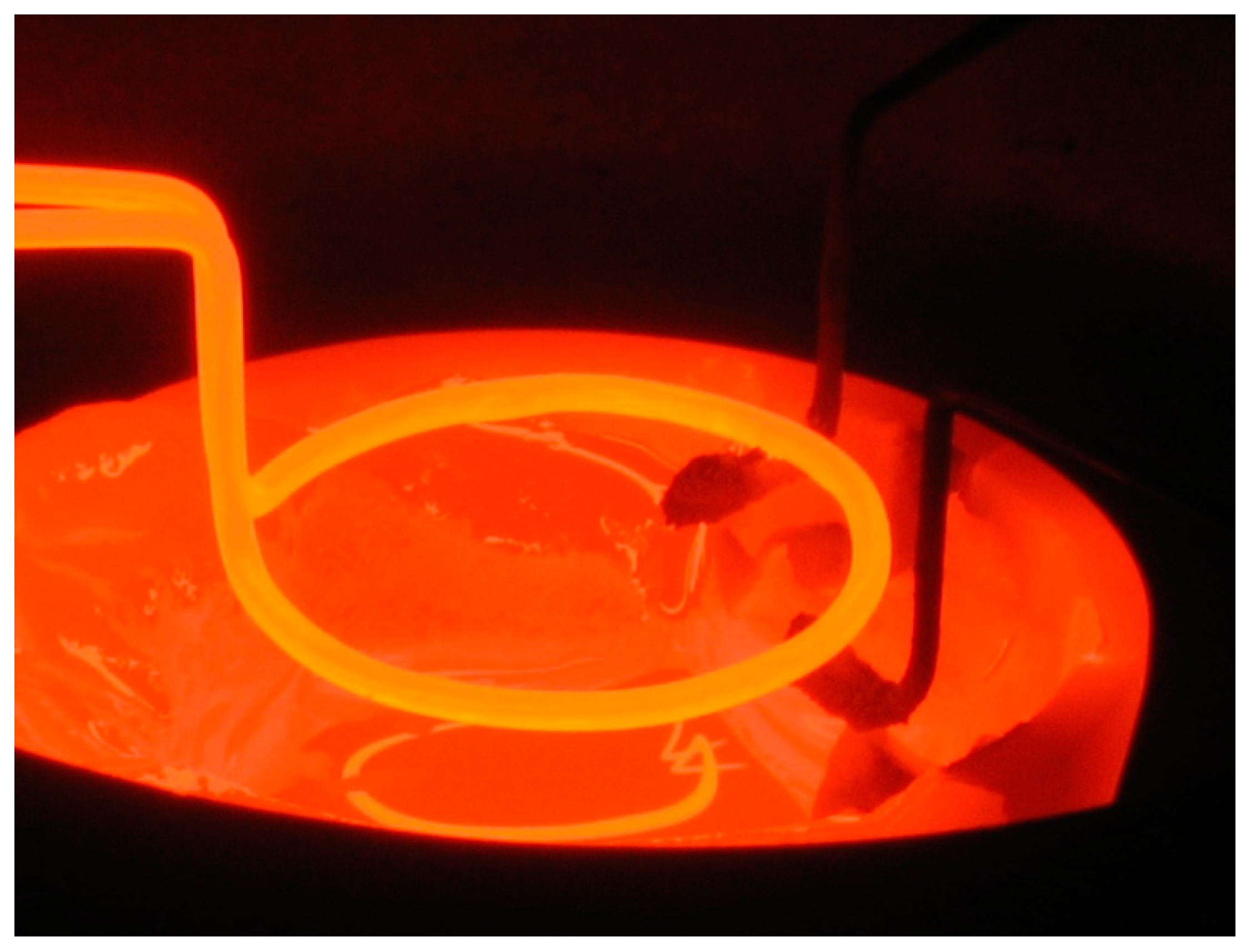 Coatings 13 01500 g041