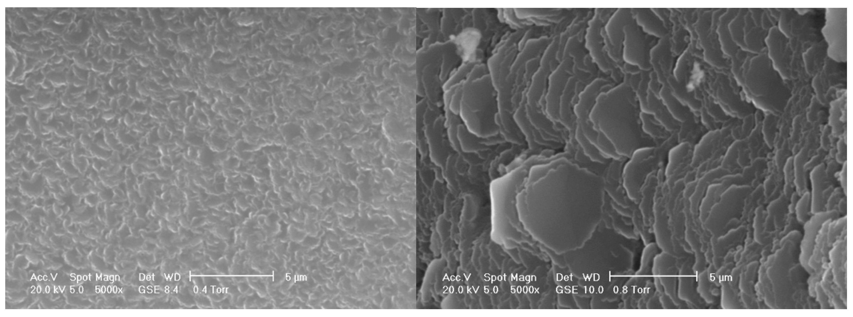 Coatings 13 01500 g066