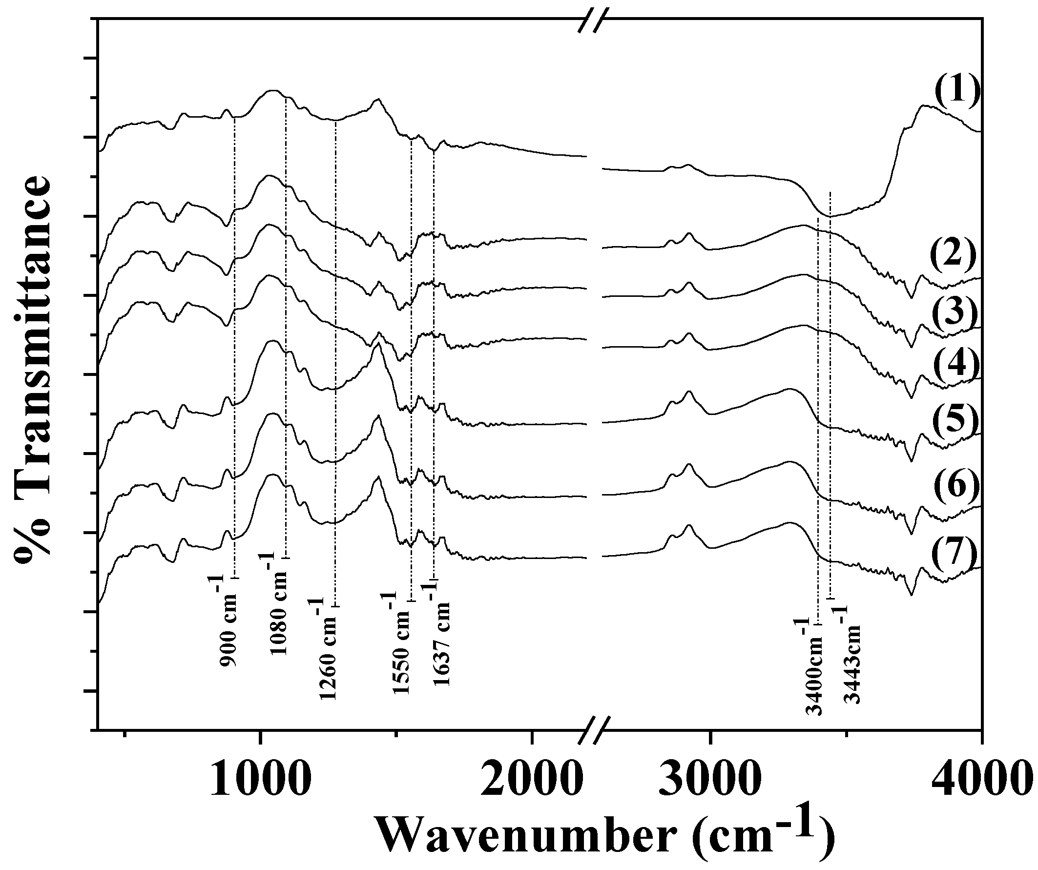 Coatings 13 01503 g003