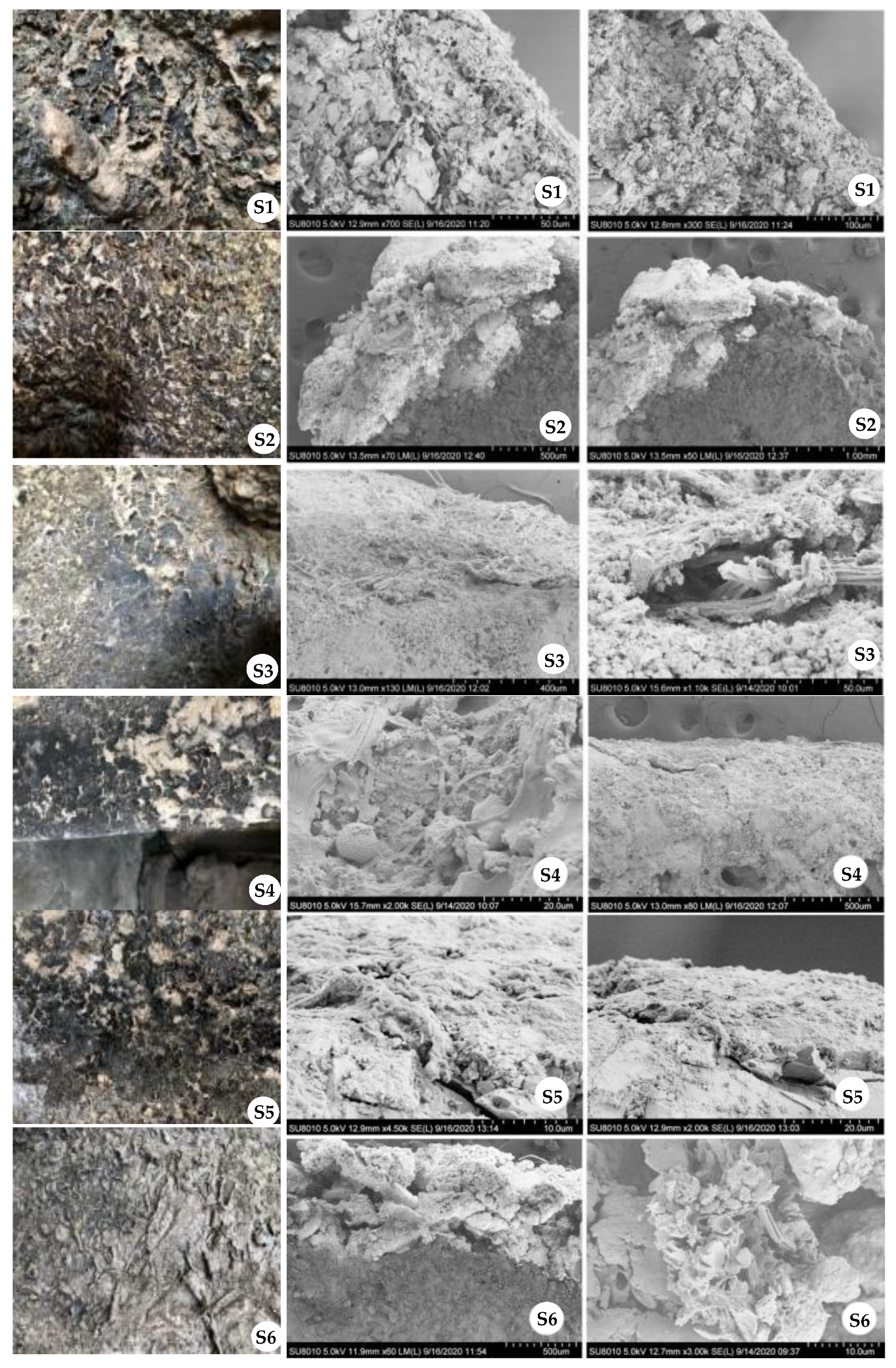 Coatings 13 01506 g003