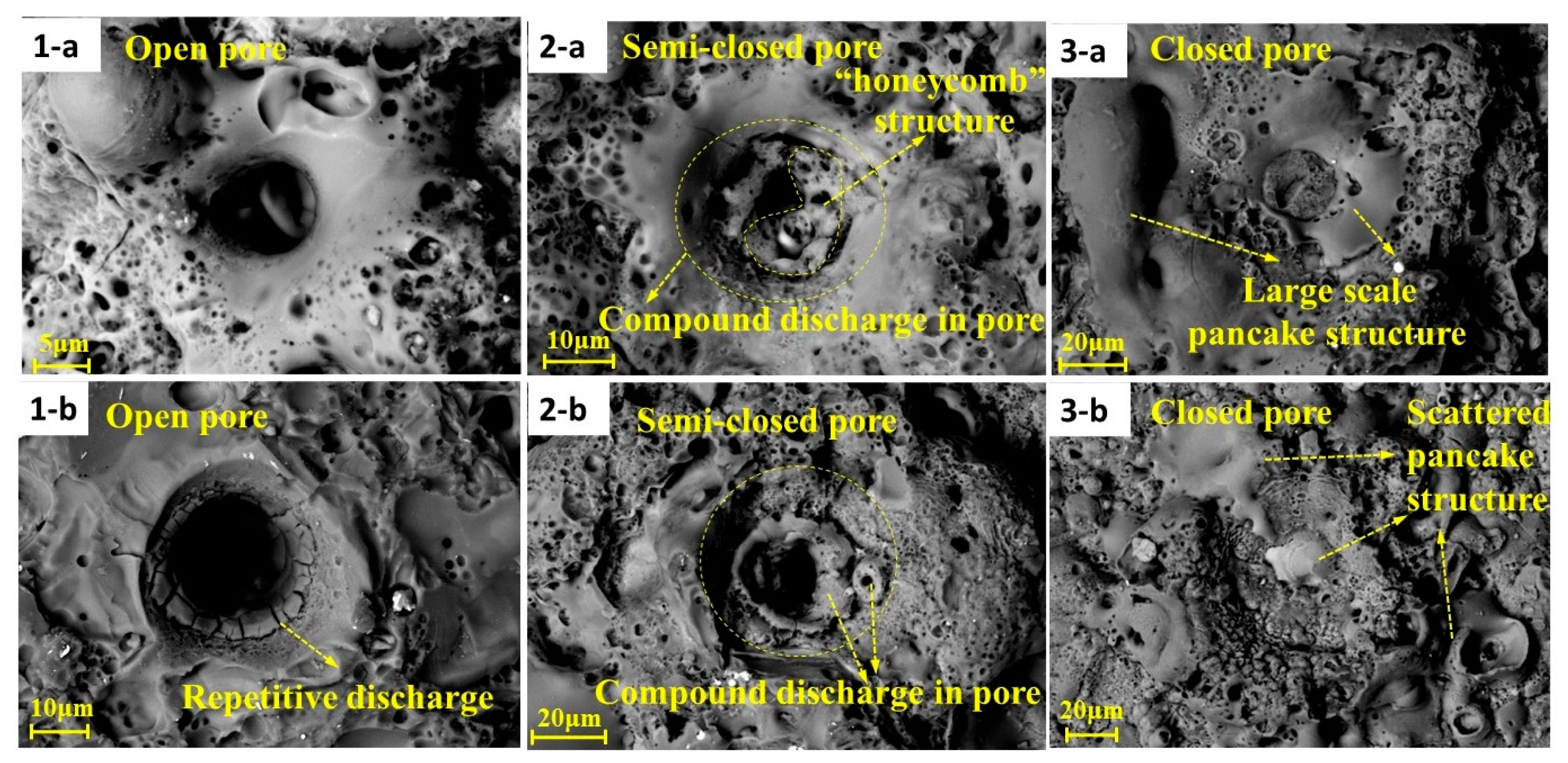Coatings 13 01507 g009