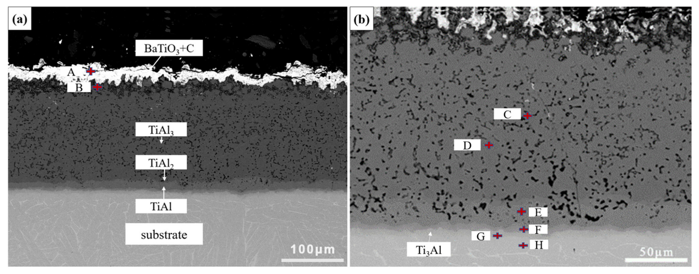 Coatings 13 01516 g001