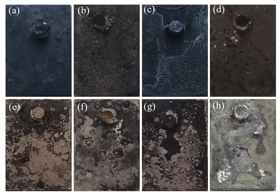 Coatings 13 01516 g005