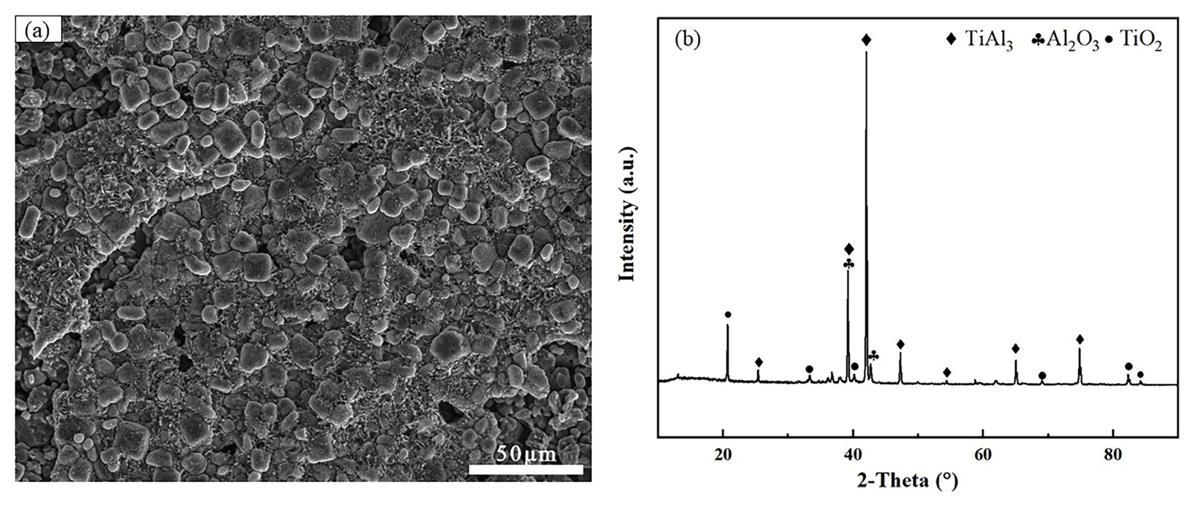 Coatings 13 01516 g006