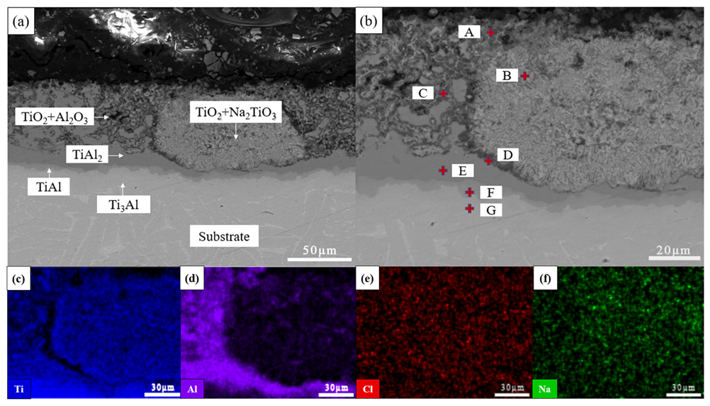 Coatings 13 01516 g010