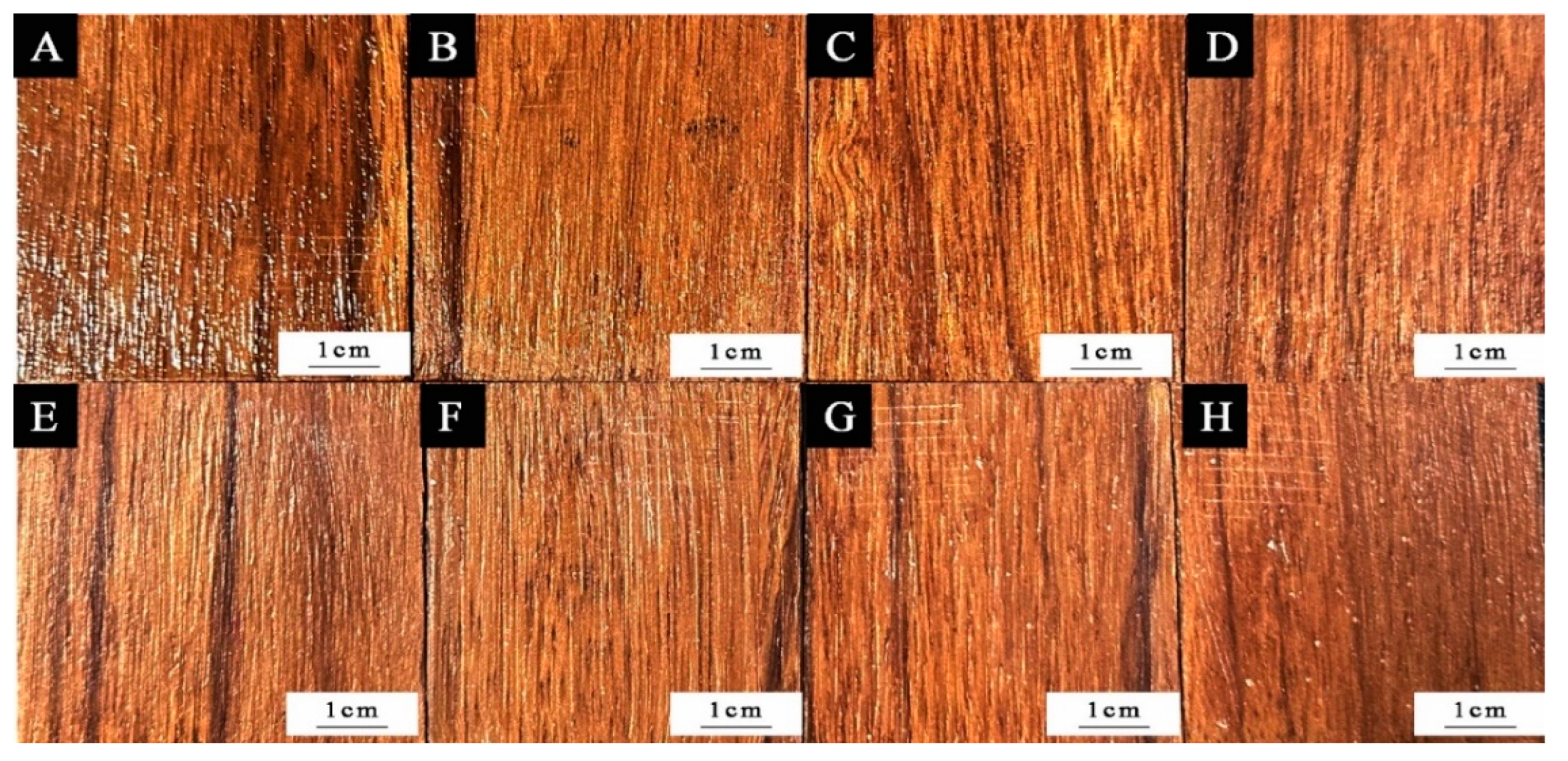 Coatings 13 01518 g012
