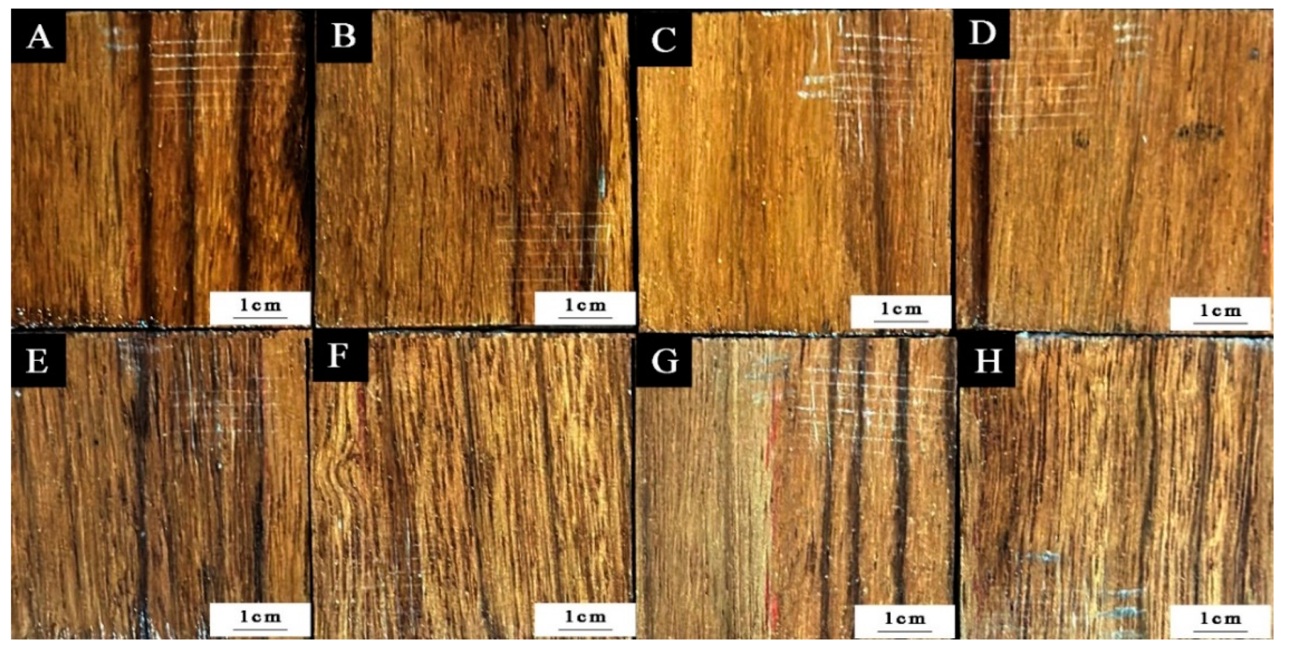 Coatings 13 01518 g013
