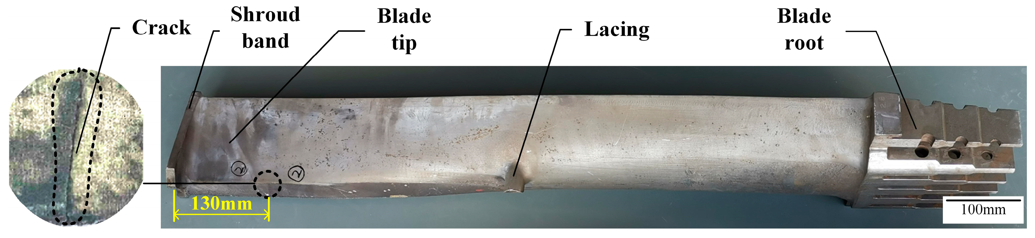 Coatings 13 01524 g001