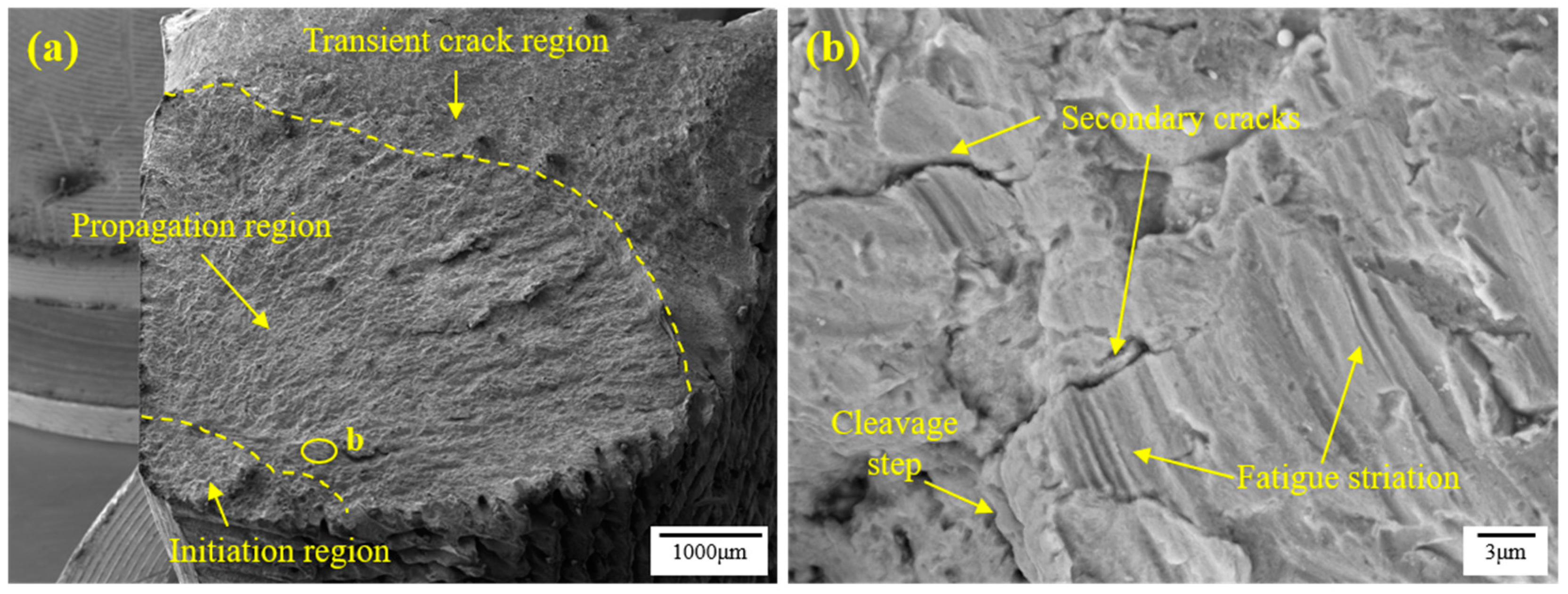 Coatings 13 01524 g002