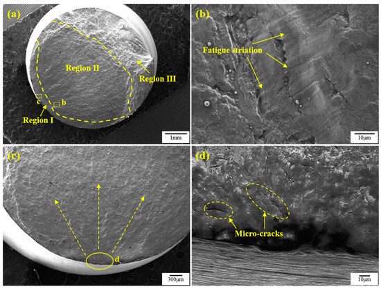 Effect of Laser Shock Peening on the Fatigue Life of