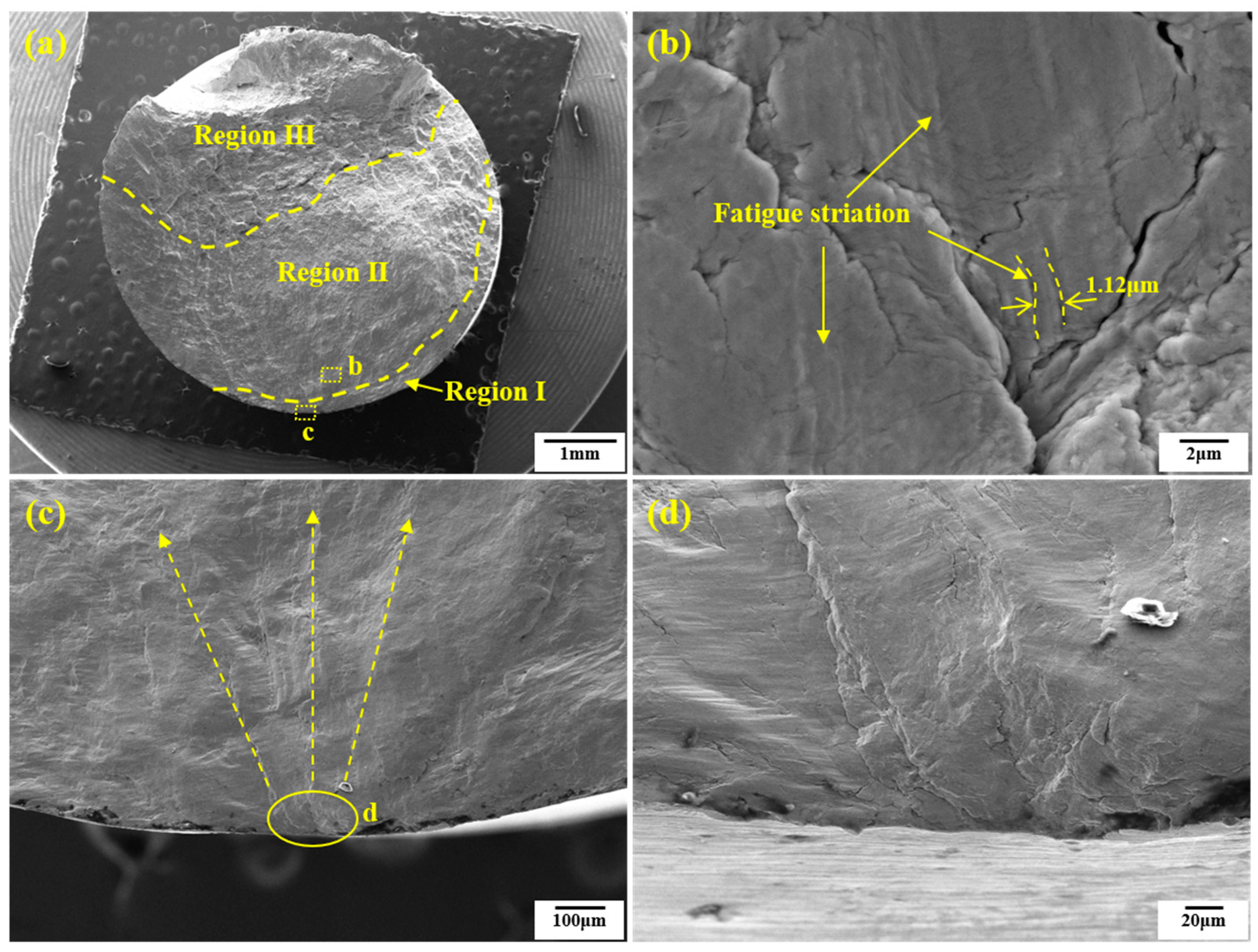 Coatings 13 01524 g011