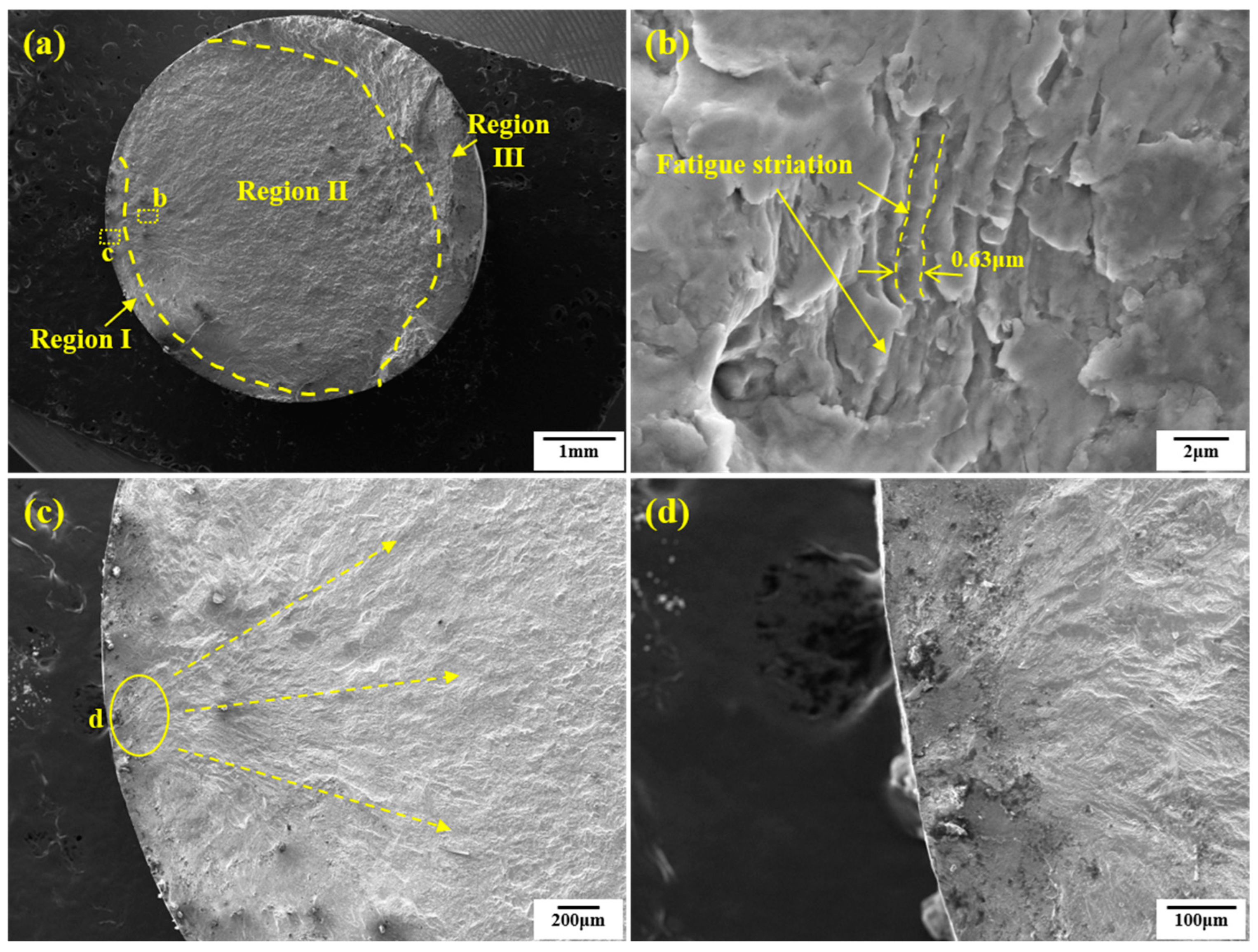 Coatings 13 01524 g012