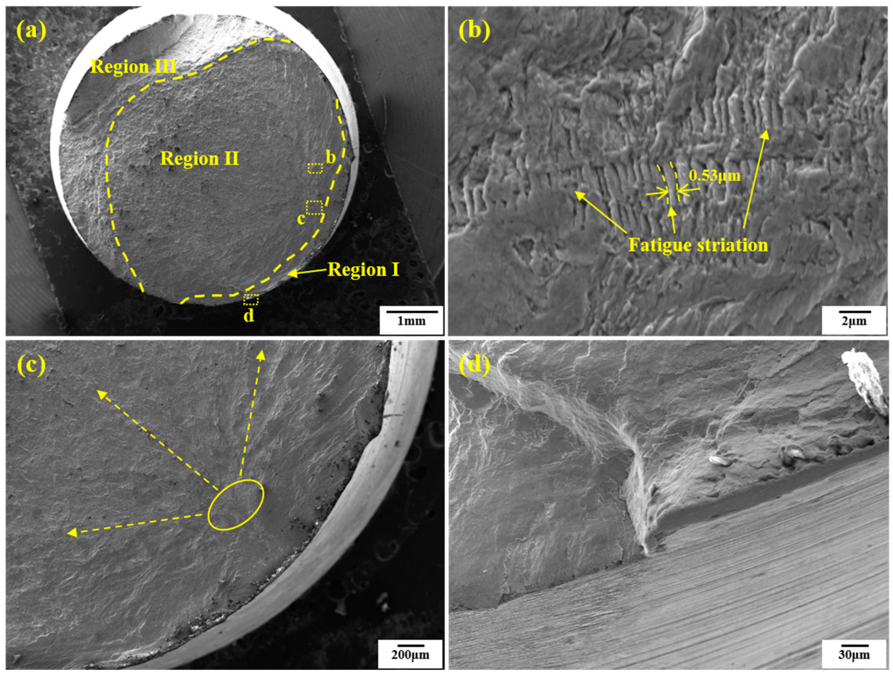 Coatings 13 01524 g013