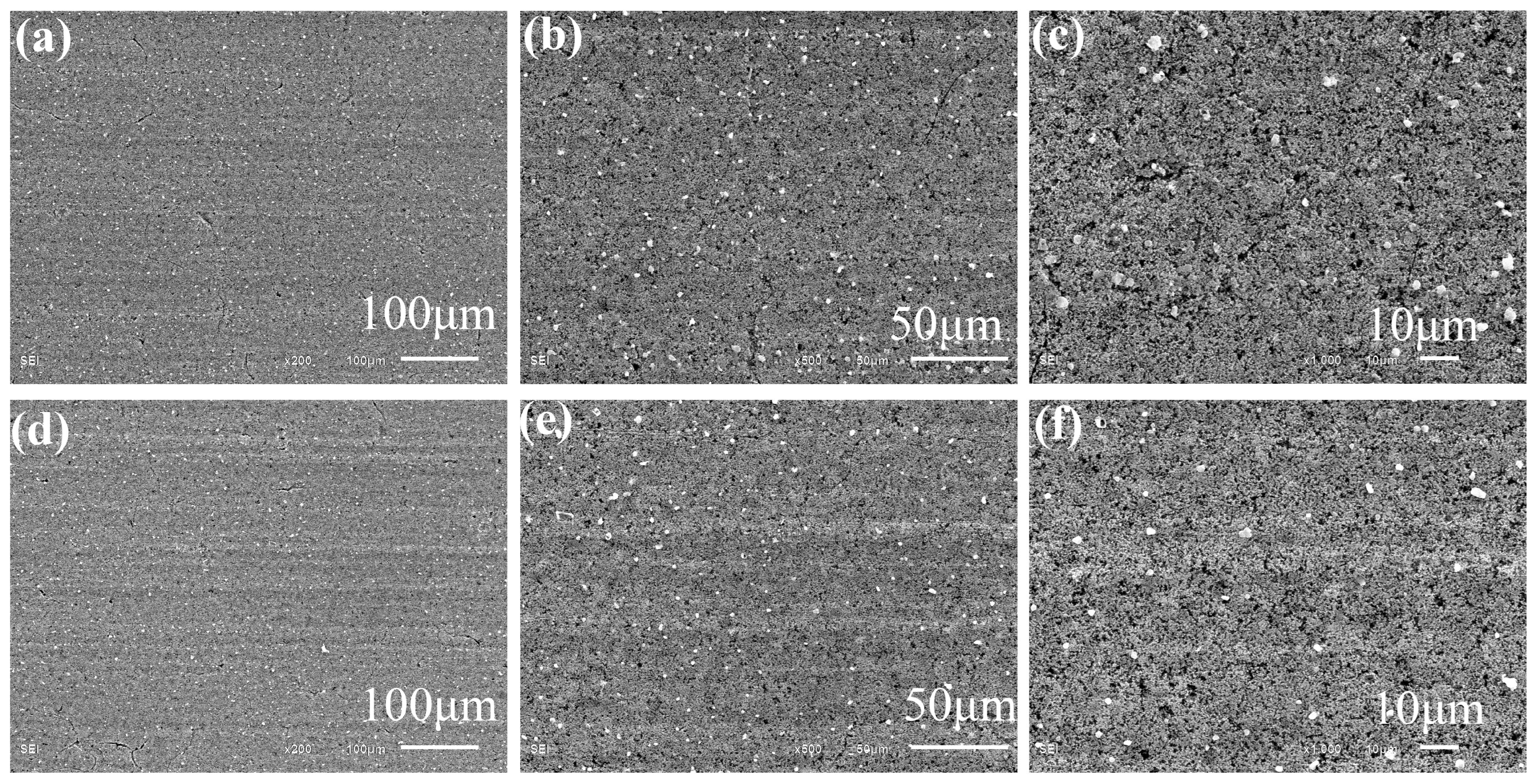 Coatings 13 01526 g001