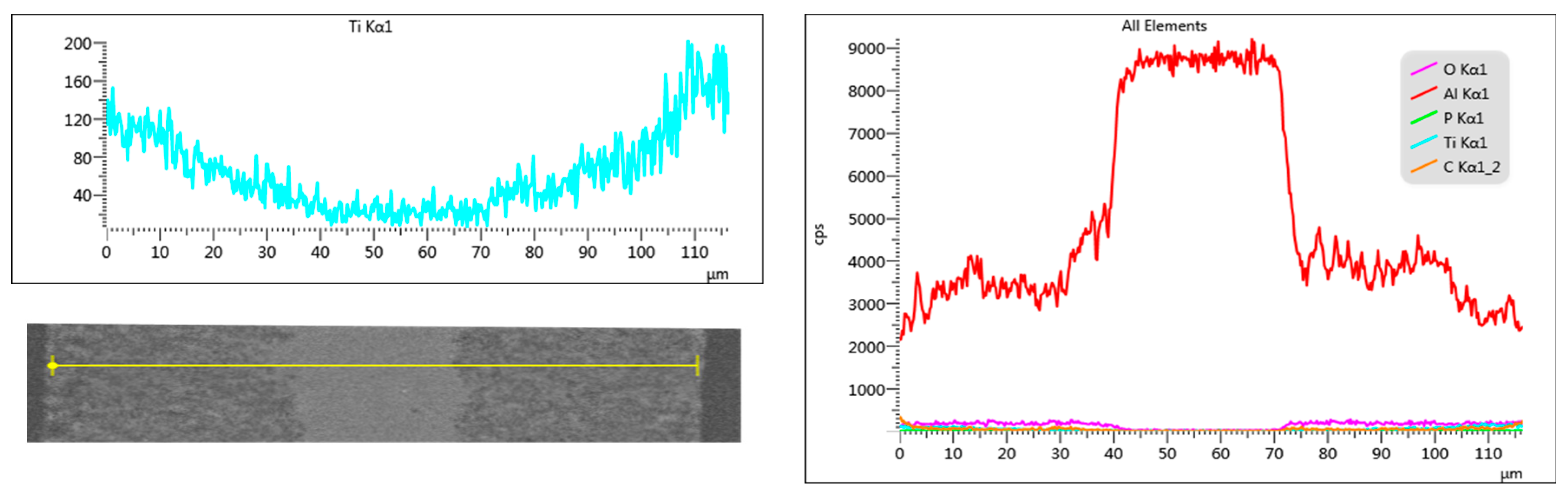 Coatings 13 01526 g005b