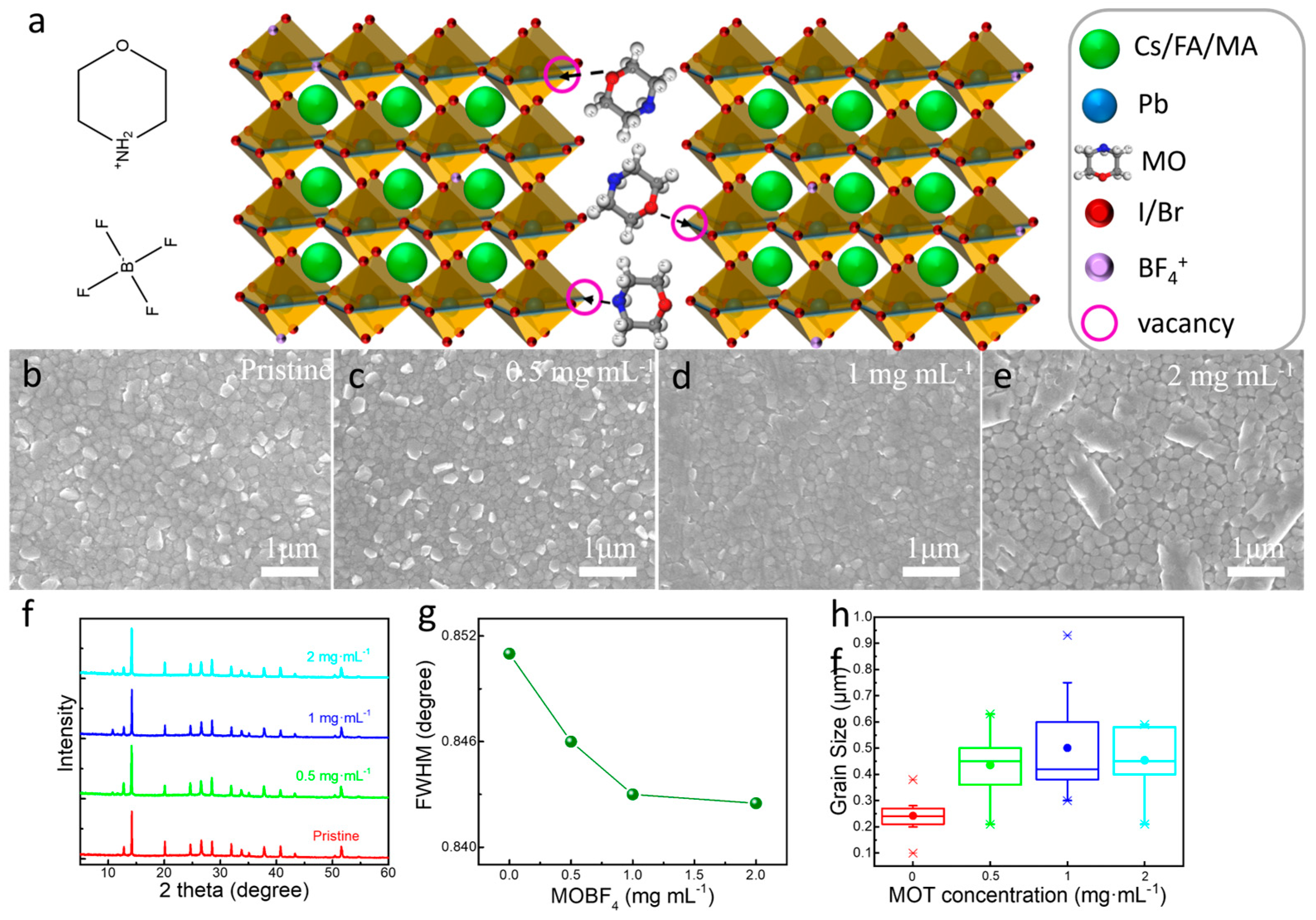 Coatings 13 01528 g003