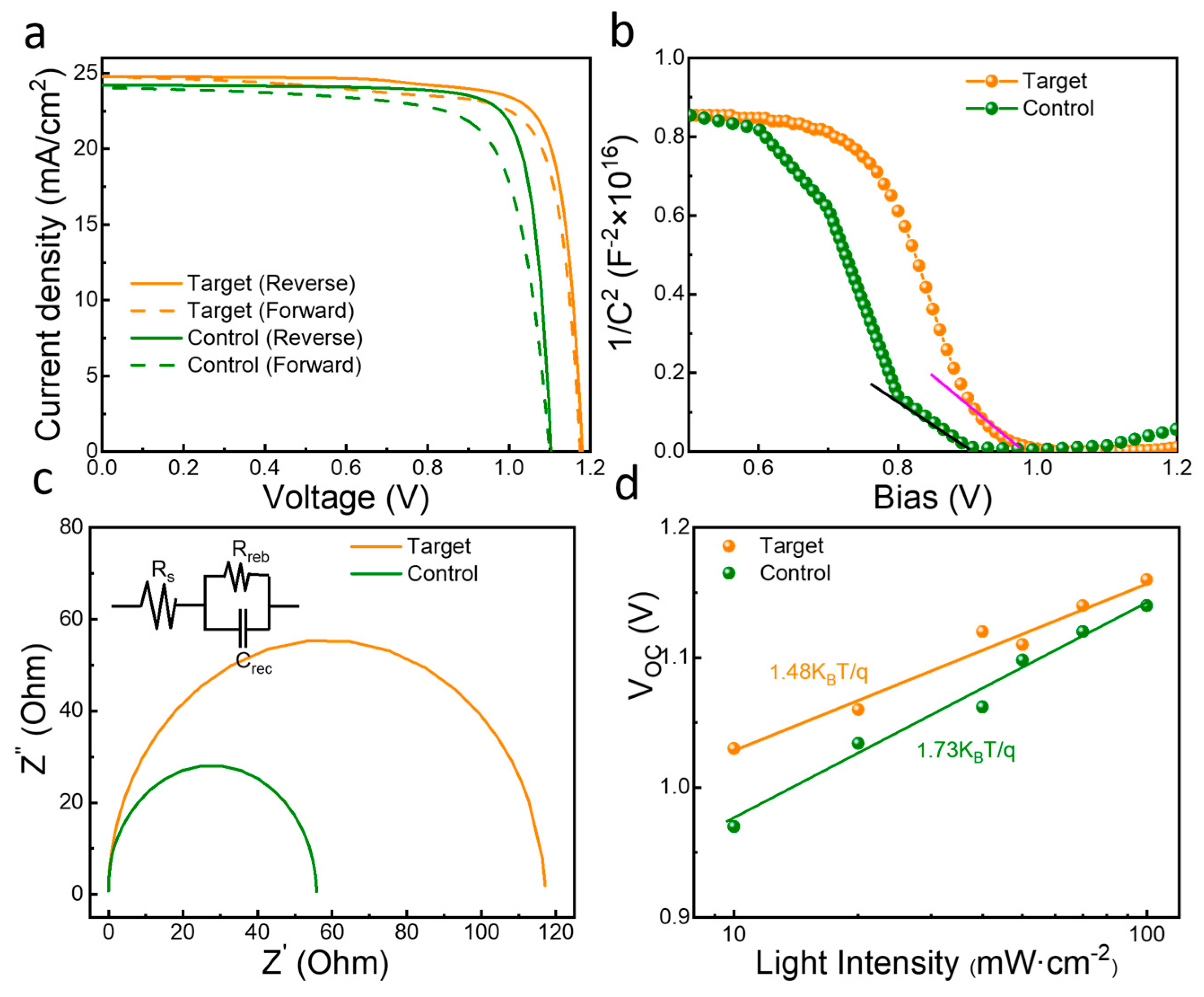 Coatings 13 01528 g005