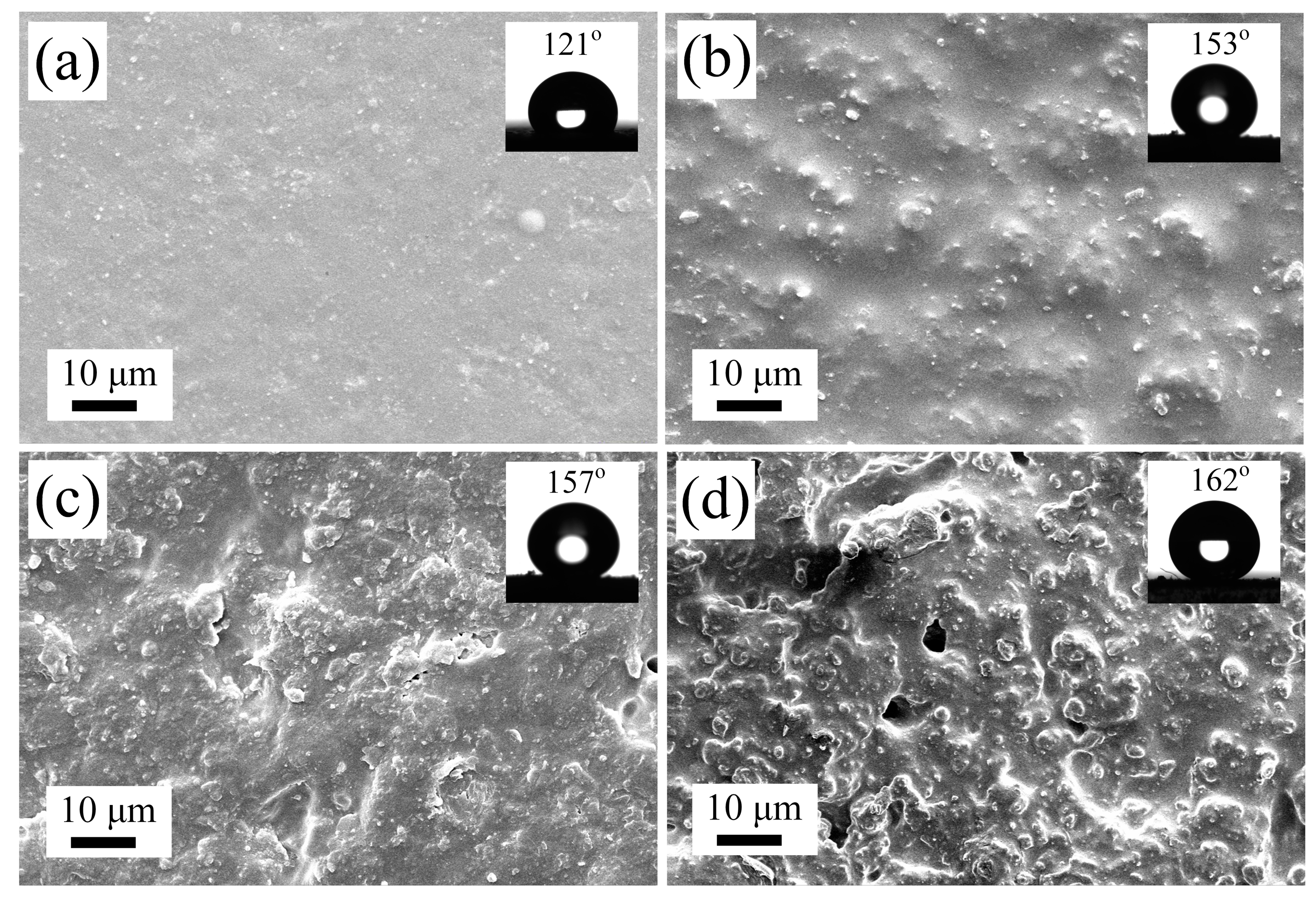 Coatings 13 01530 g003