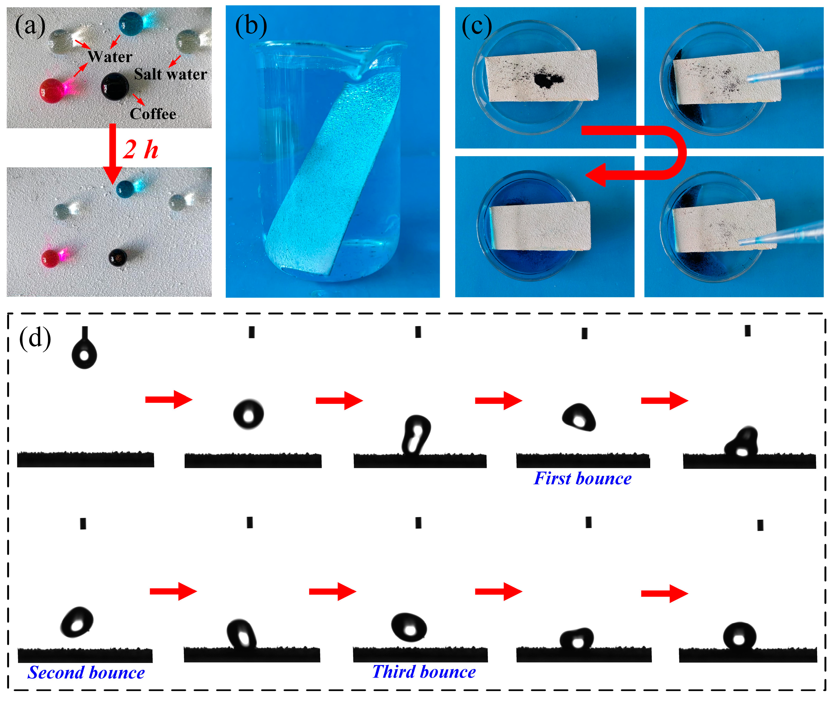 Coatings 13 01530 g004
