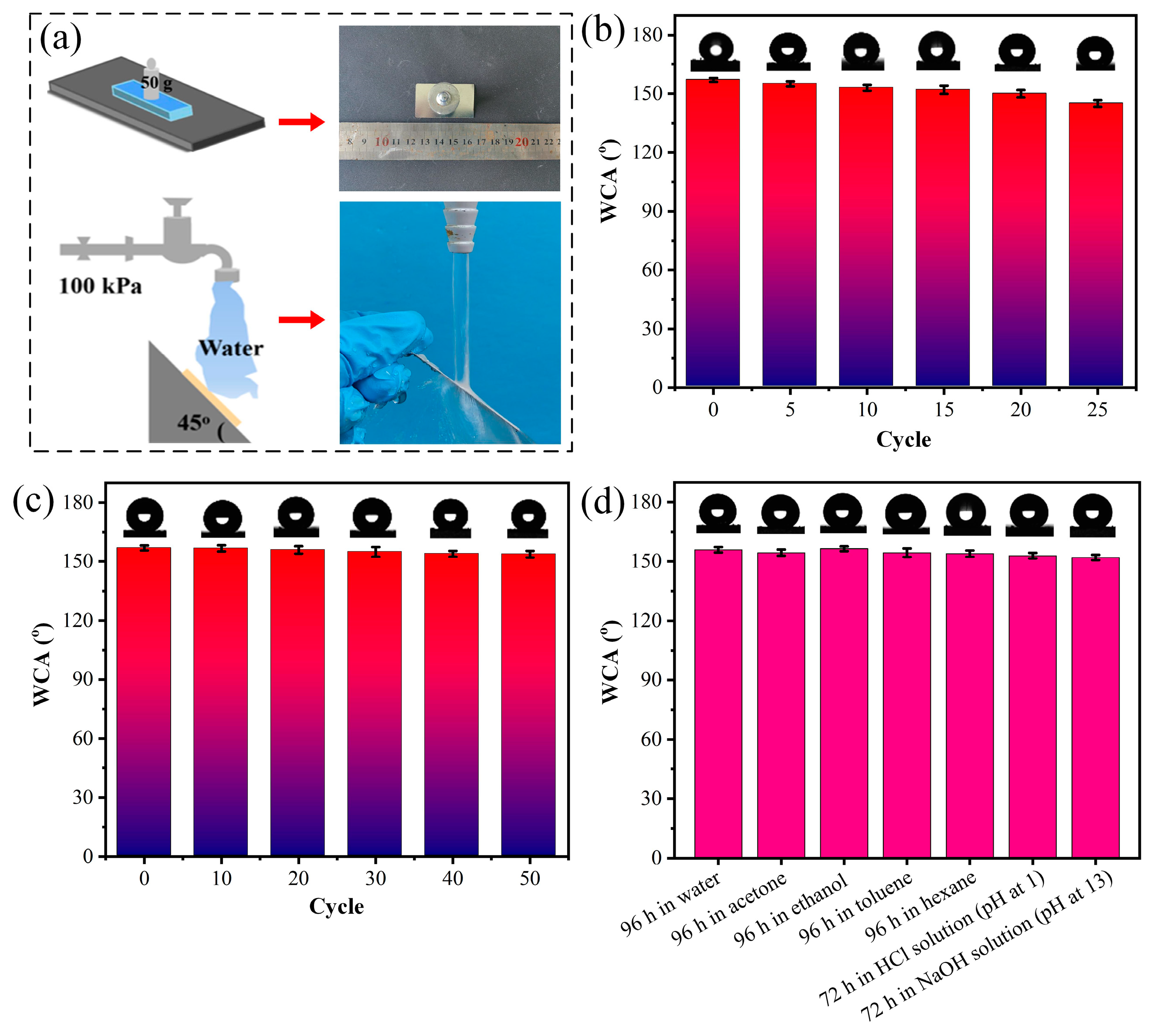 Coatings 13 01530 g005