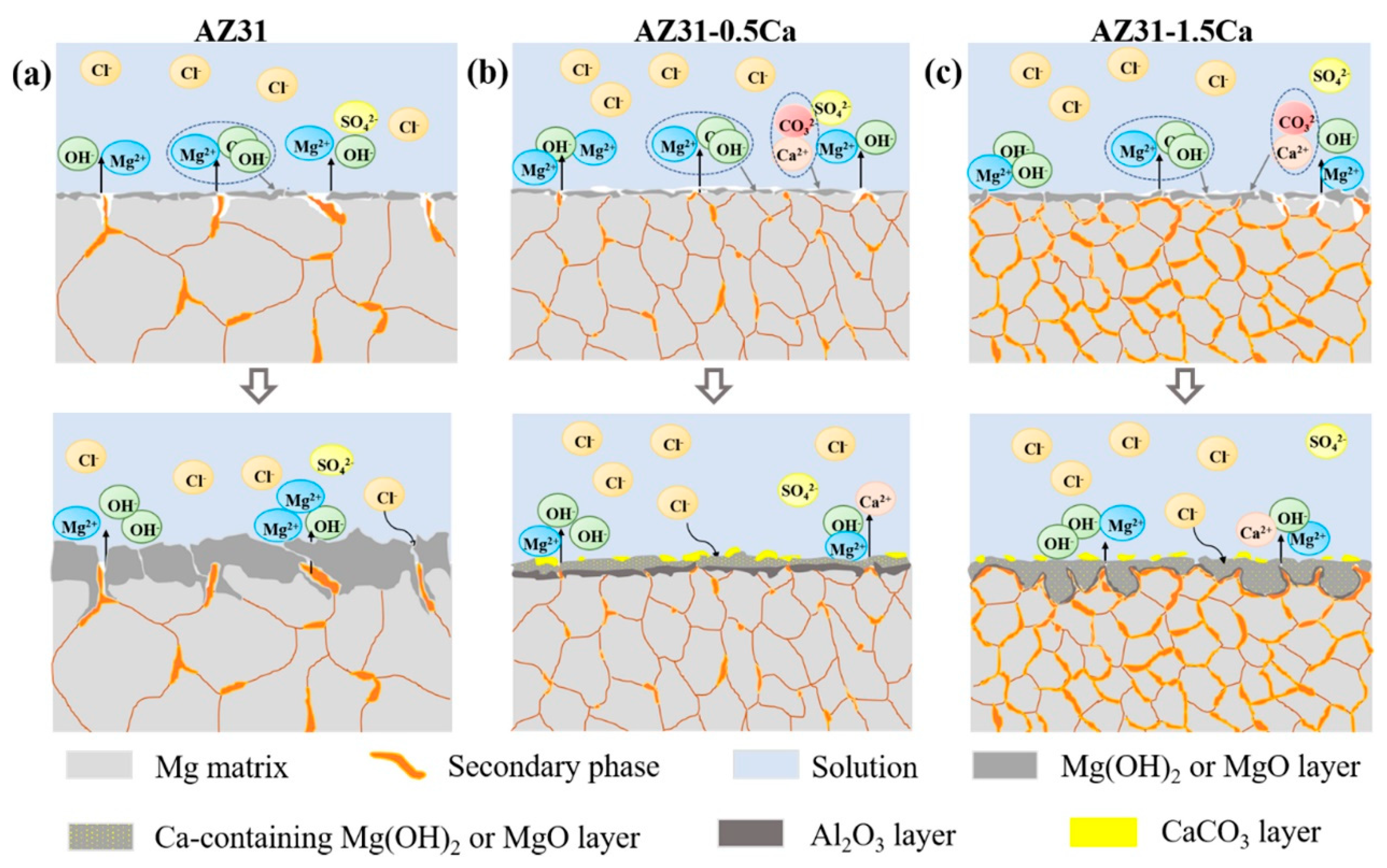 Coatings 13 01533 g006