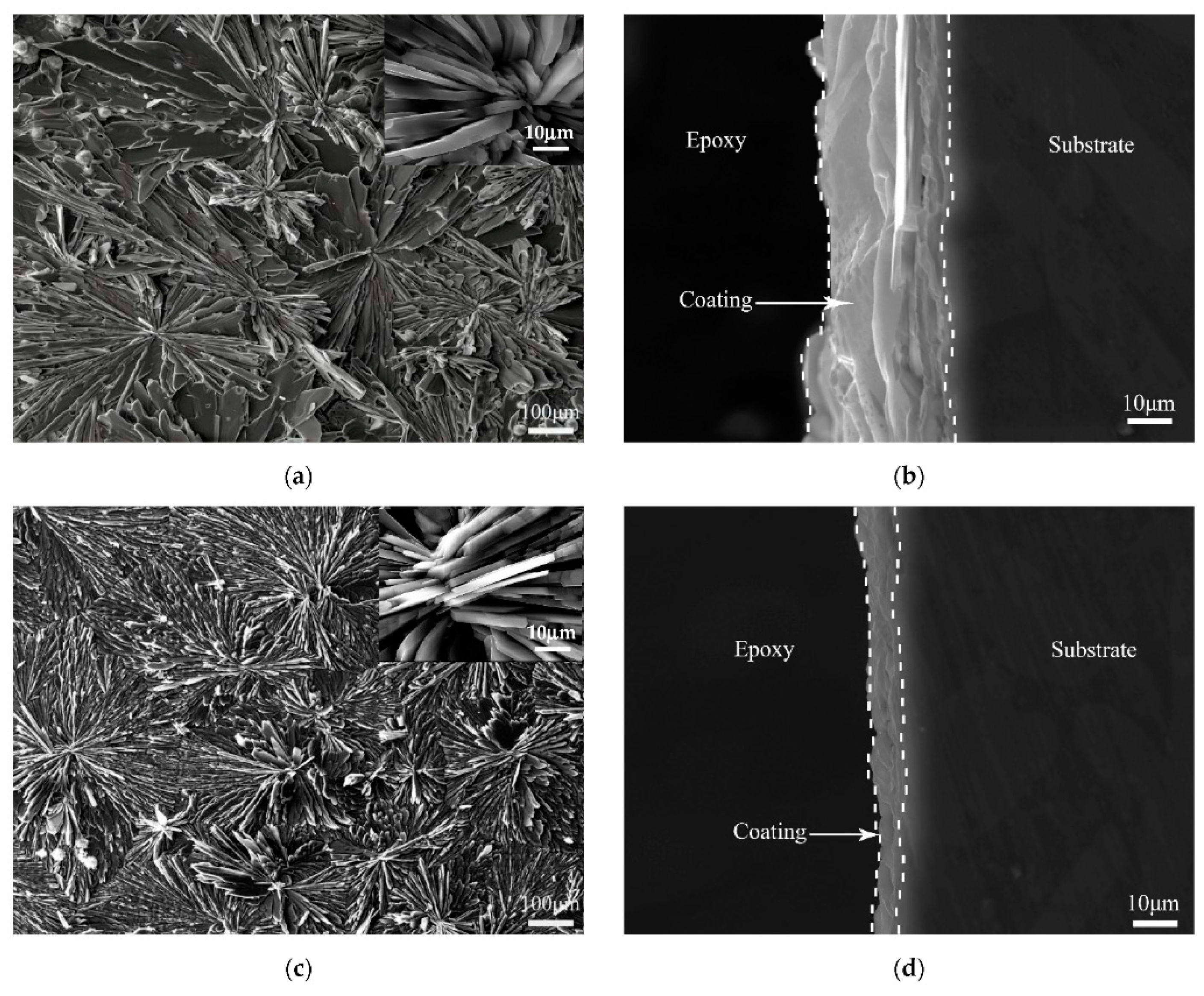 Coatings 13 01533 g011