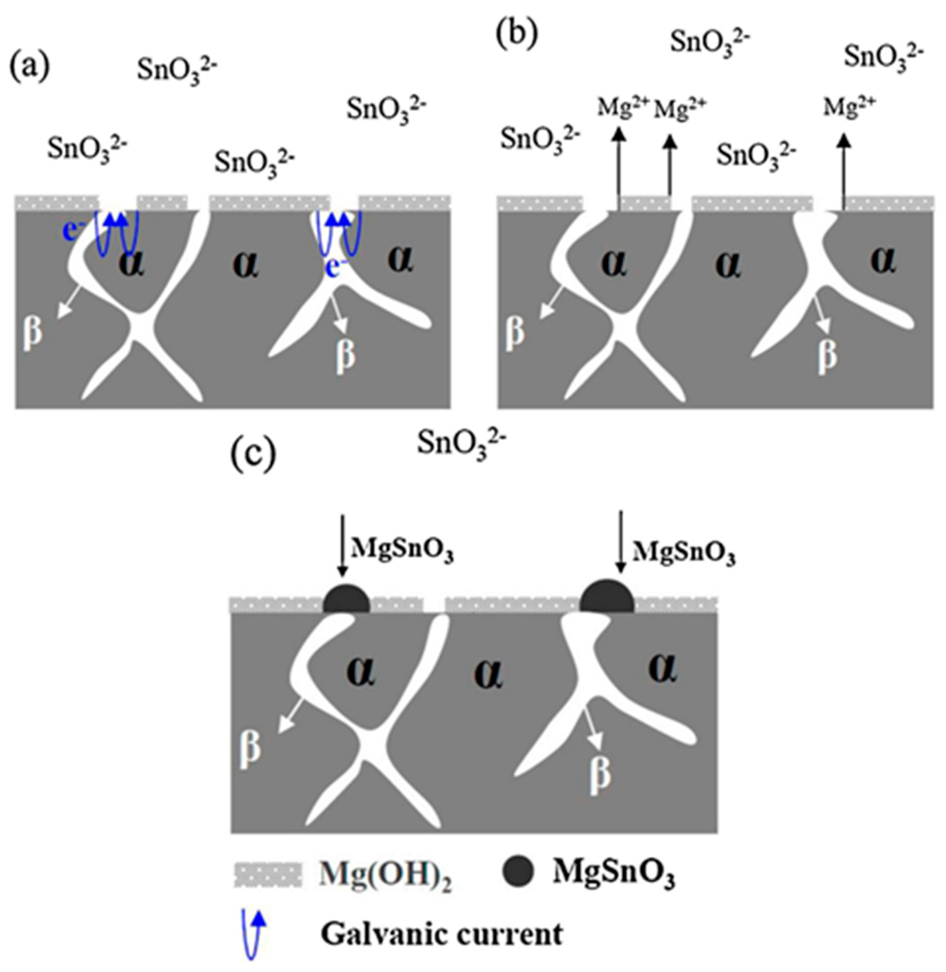 Coatings 13 01533 g014