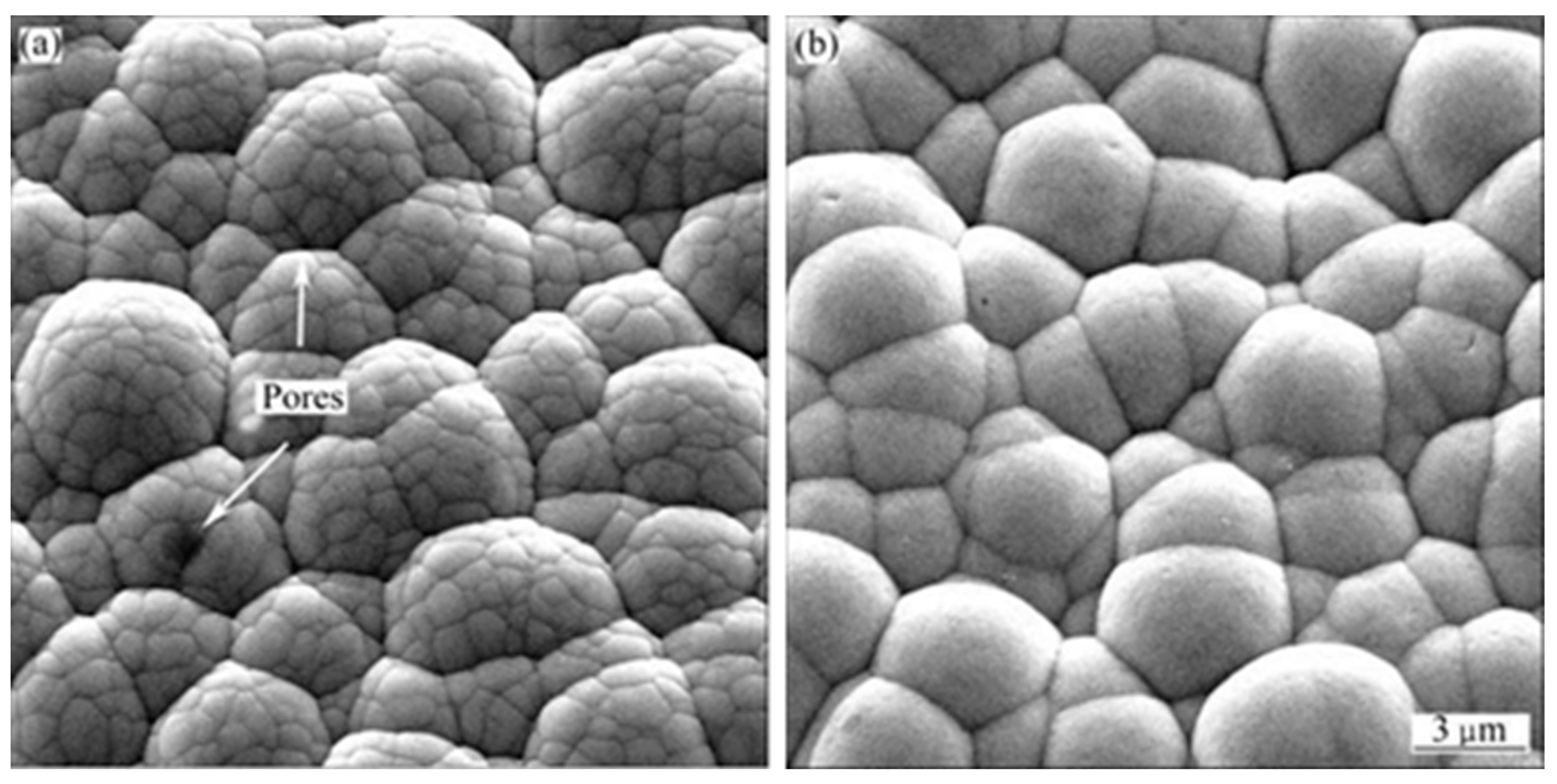 Coatings 13 01533 g016